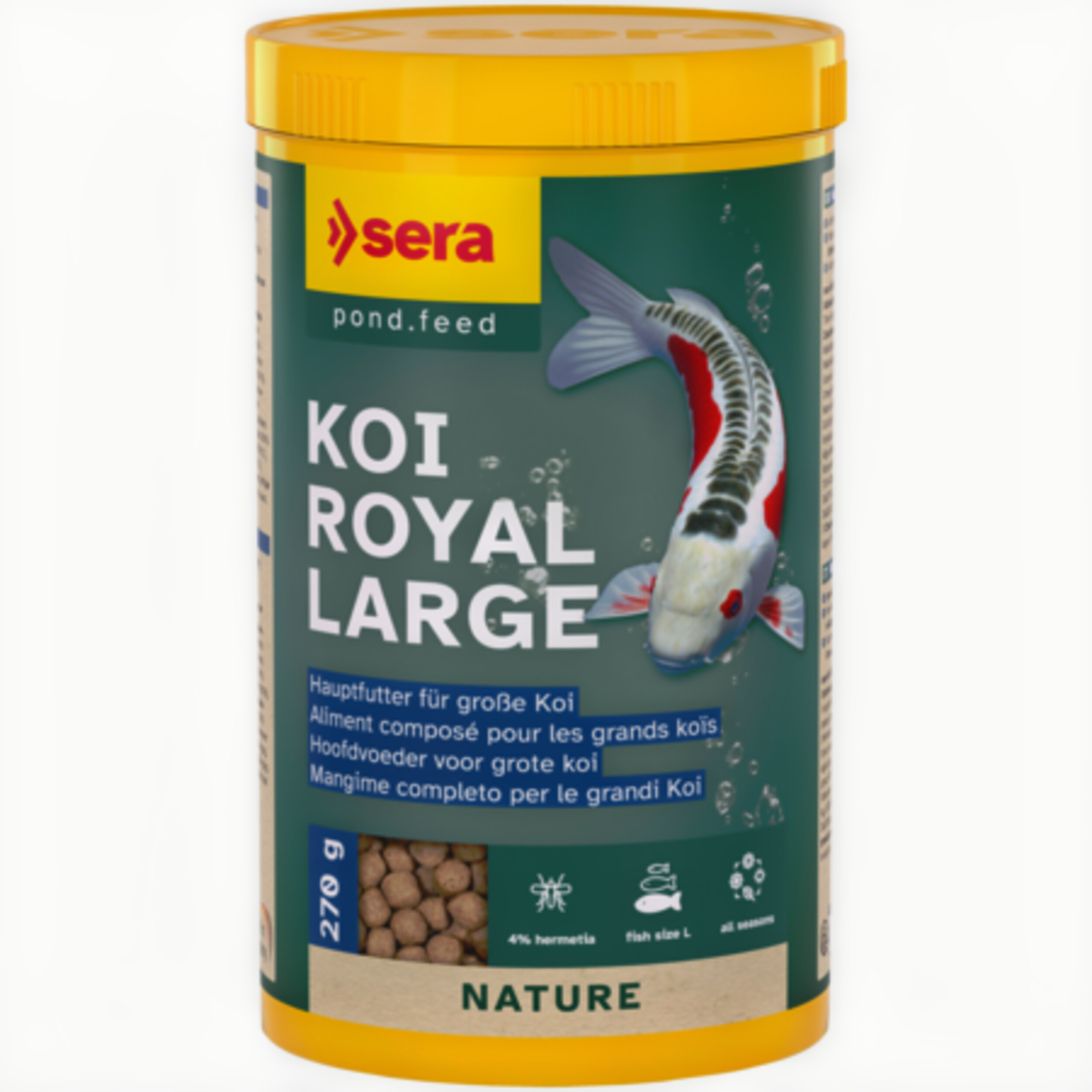 Koi Royal Large