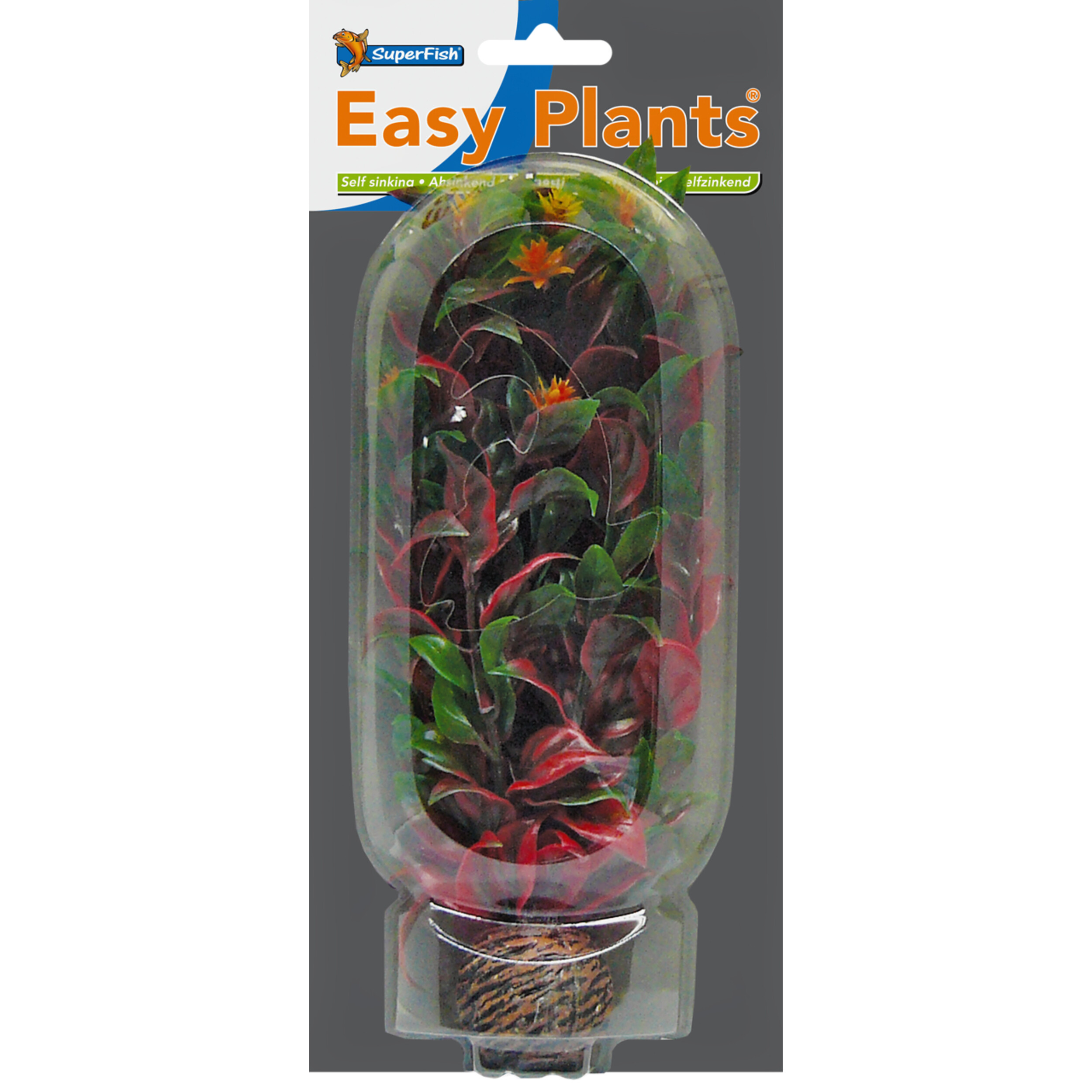 Flower Arrangement, Plant, Leaf, Light, Jar