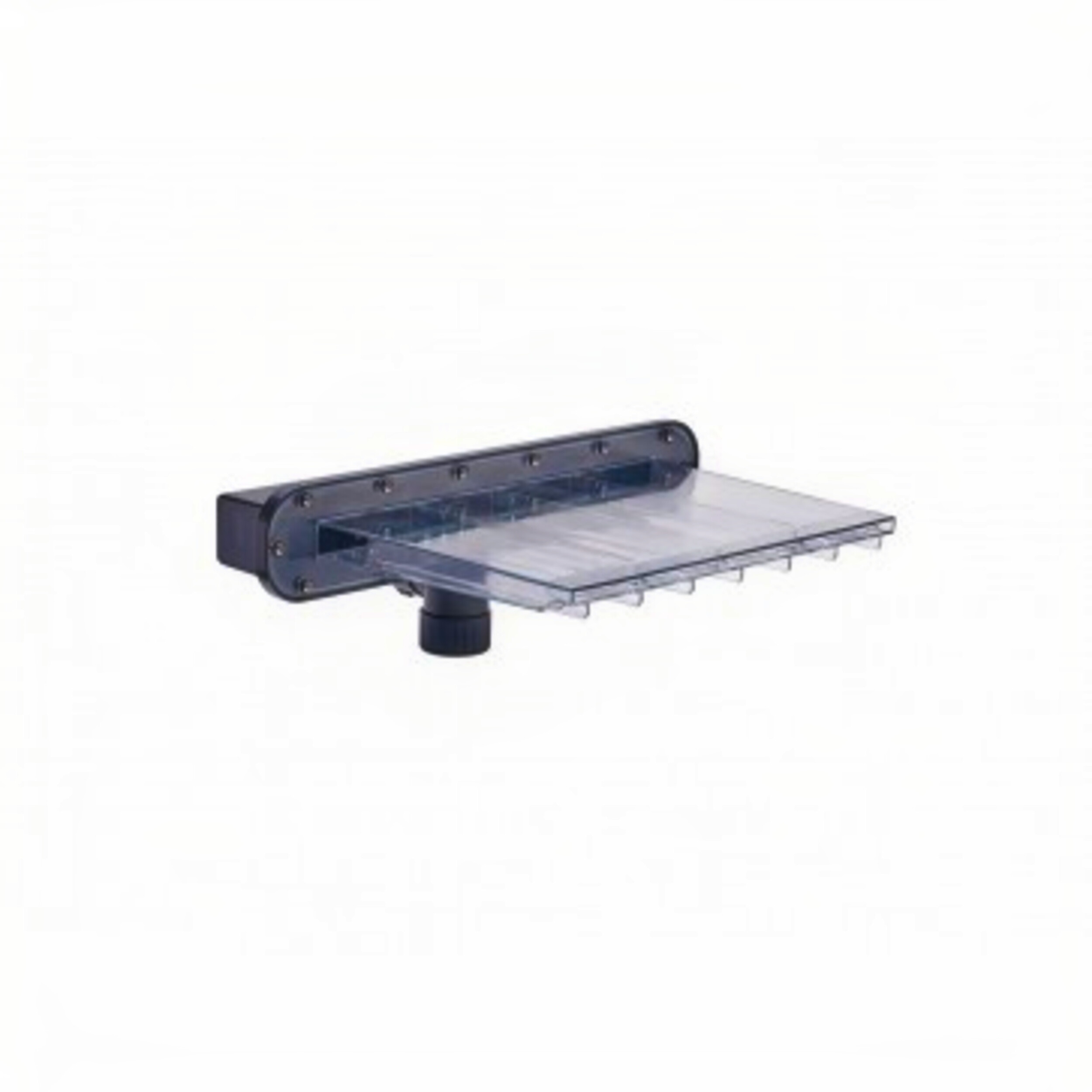 Plank