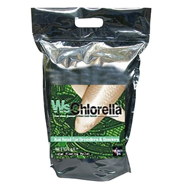 Chlorella 3 kg
