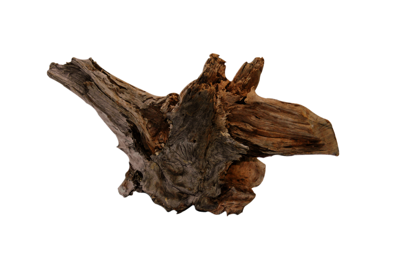 Superfish Driftwood Medium - Oranje Natuurlijk Aquarium Decor voor Aquascaping & Schuilplaats afbeelding