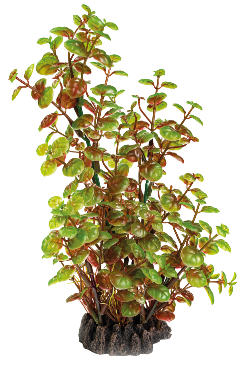 Superfish Art Plant Rotala 25cm - Onderhoudsvrije Aquarium Kunstplant, Veilig & Realistisch afbeelding