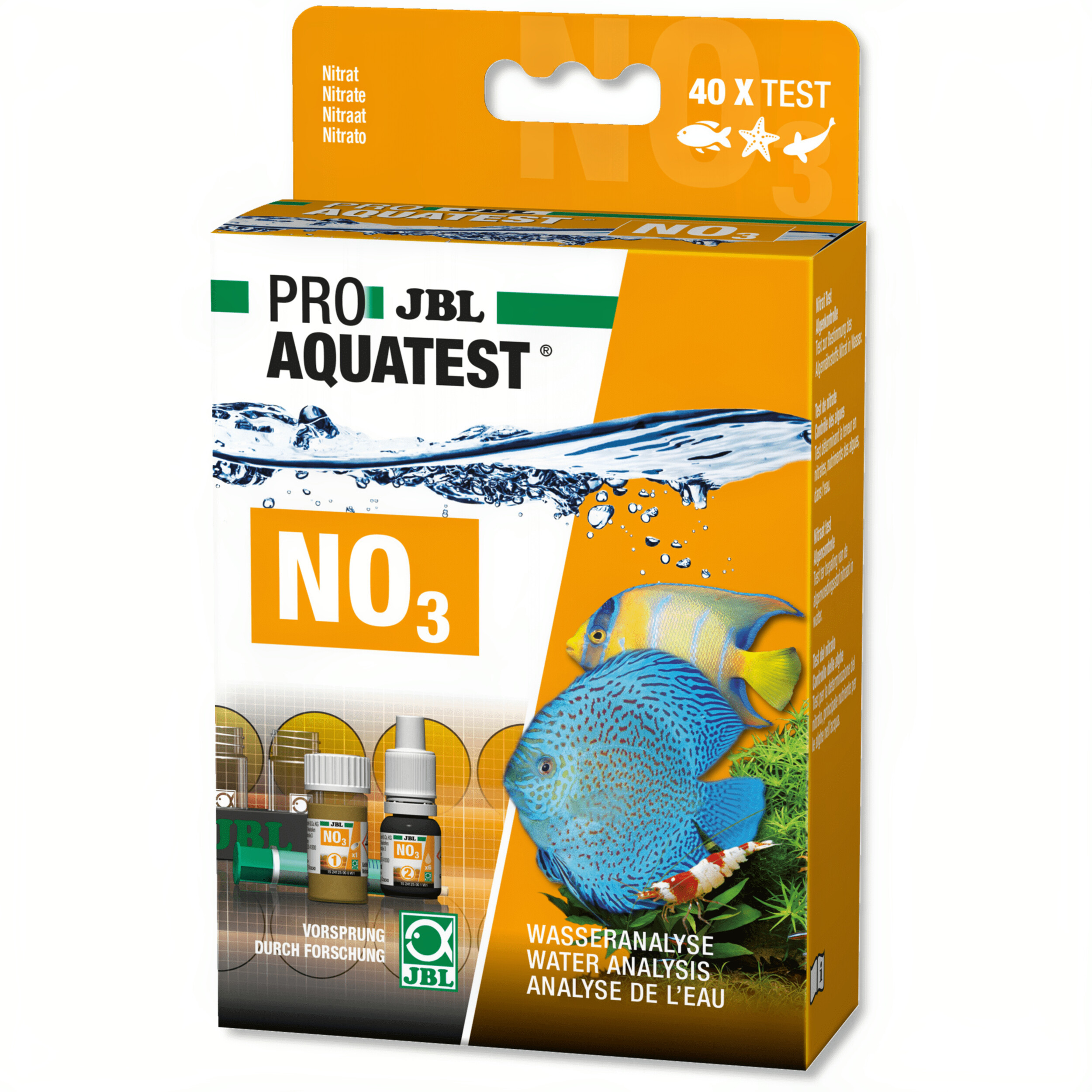 Animal, Fish, Sea Life, Bottle