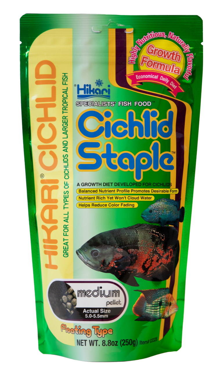 Hikari Cichlid Staple Medium Voeding - Professioneel Dagvoer voor Karnivore Cichliden, 250g afbeelding