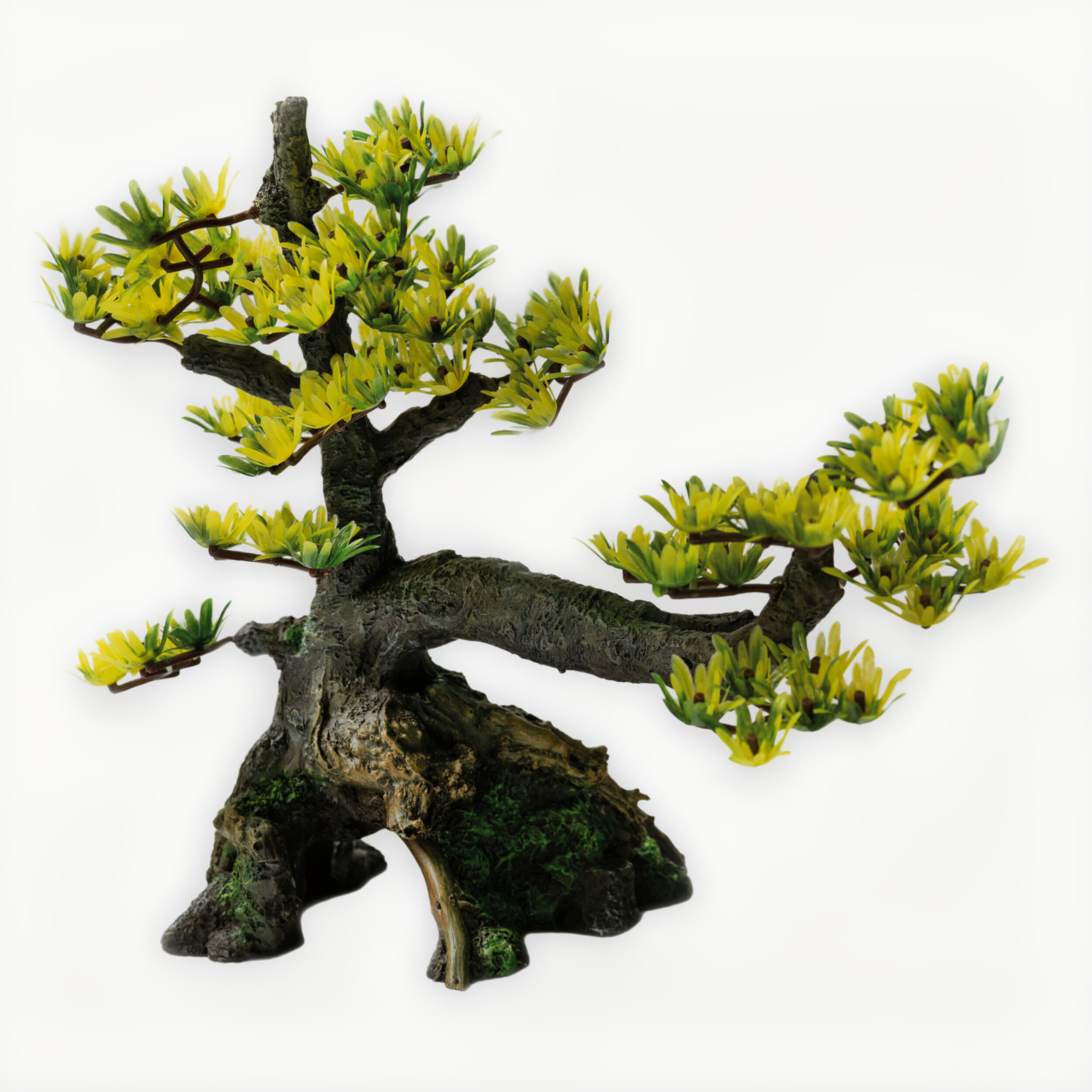 Deco Bonsai M