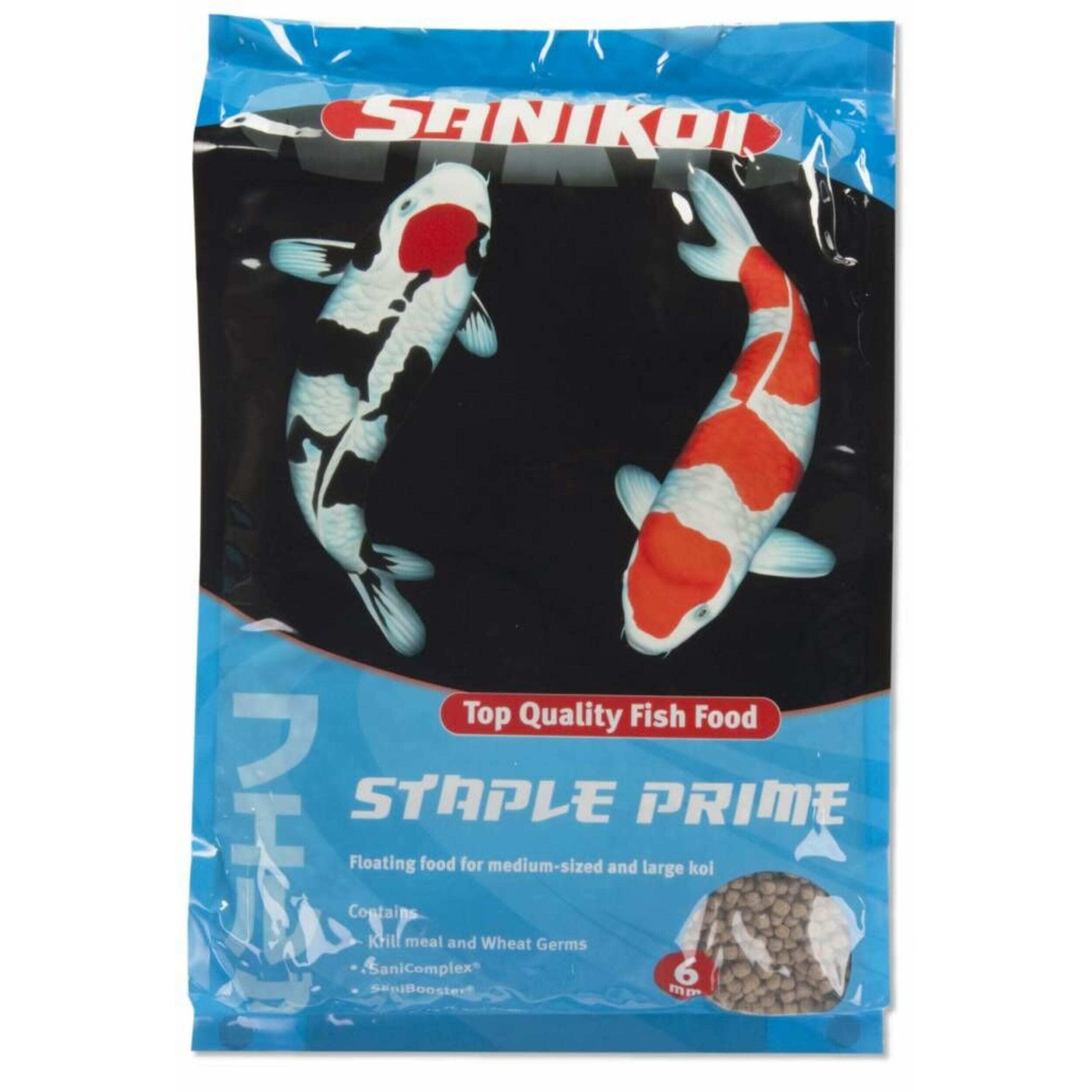 Animal, Fish, Sea Life, Carp, Koi