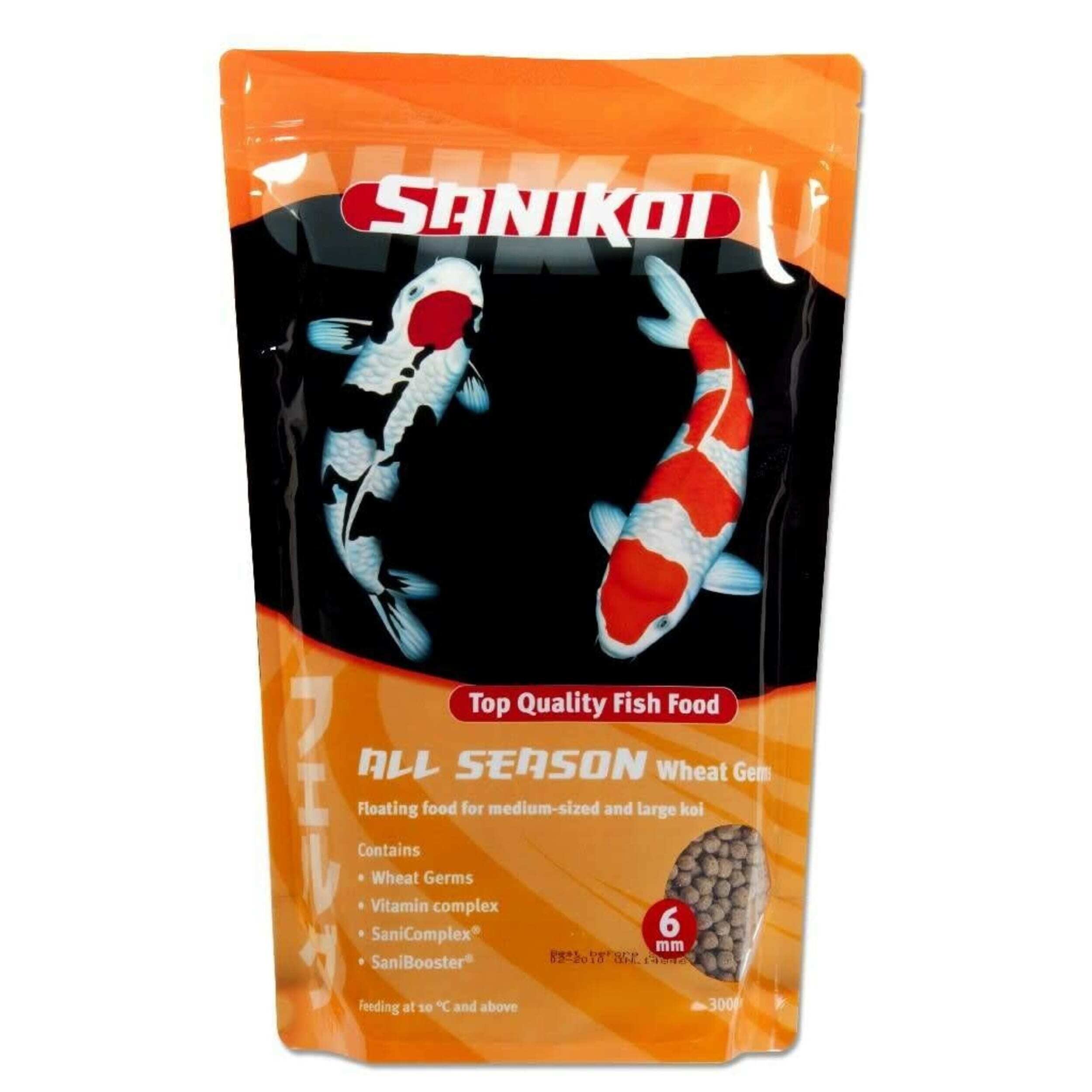 Animal, Sea Life, Carp, Fish, Koi