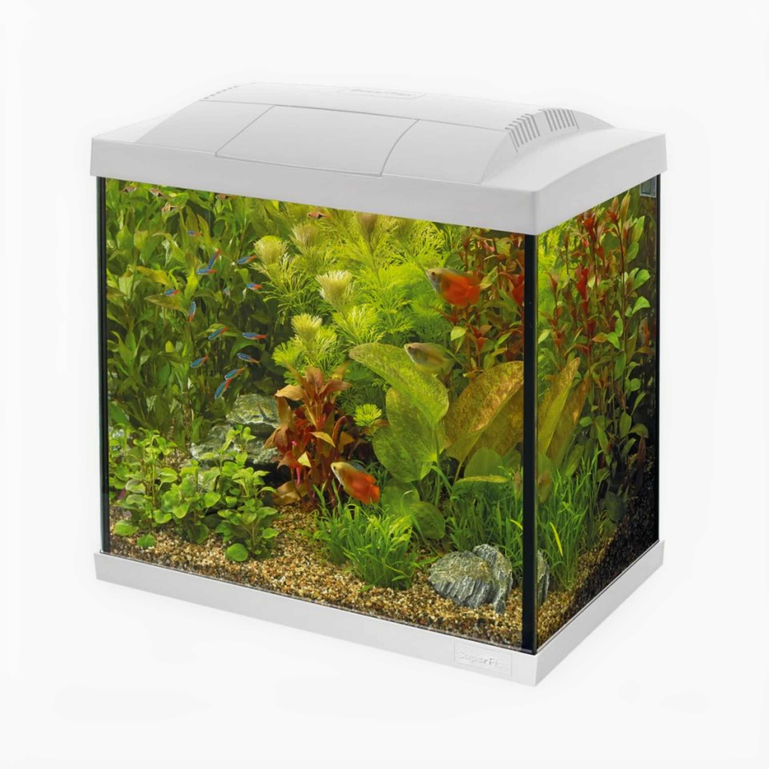 Superfish Start 30 Tropical Kit Wit - 25L Compleet Aquarium met LED & Accessoires