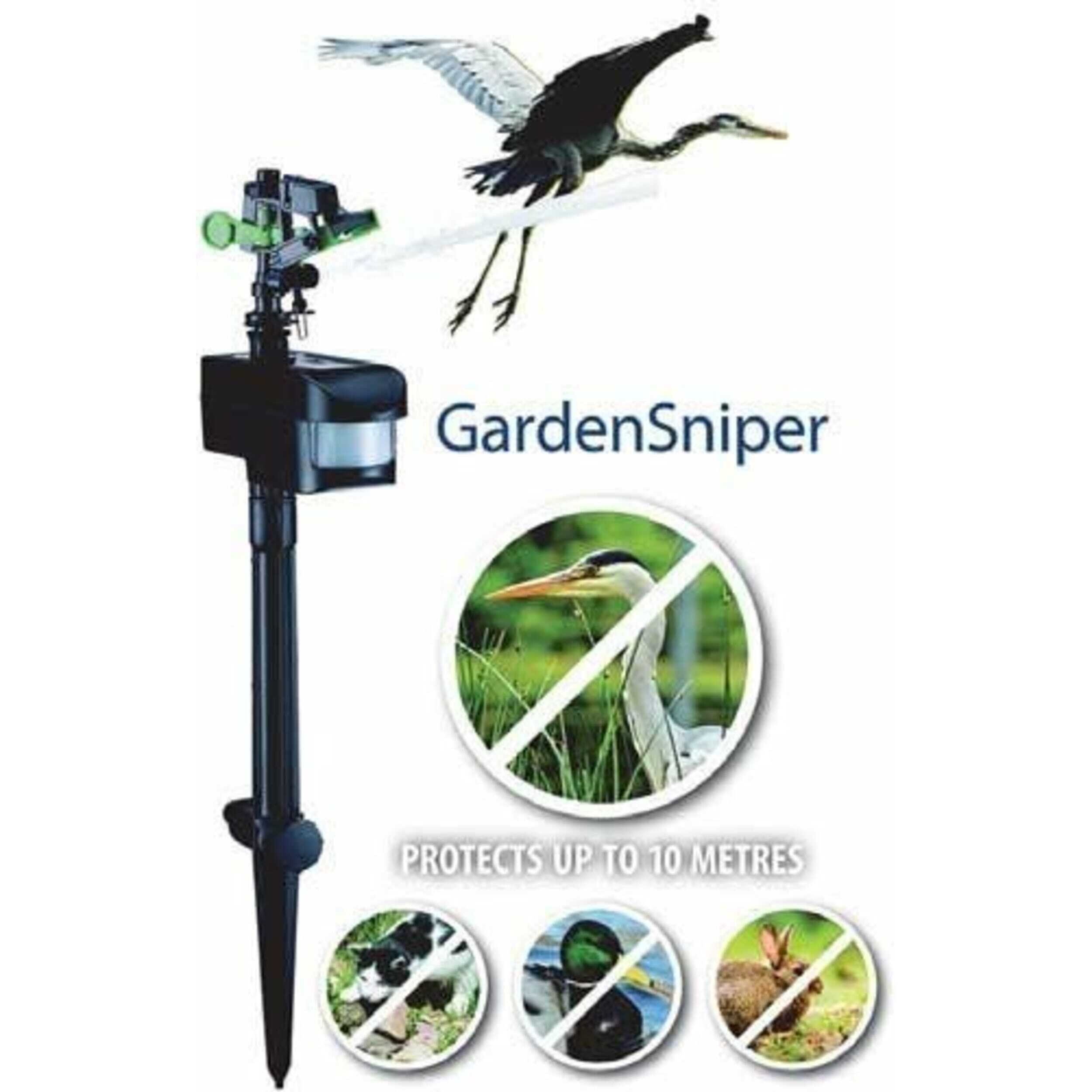 Water, Machine, Bird, Sprinkler, Waterfowl