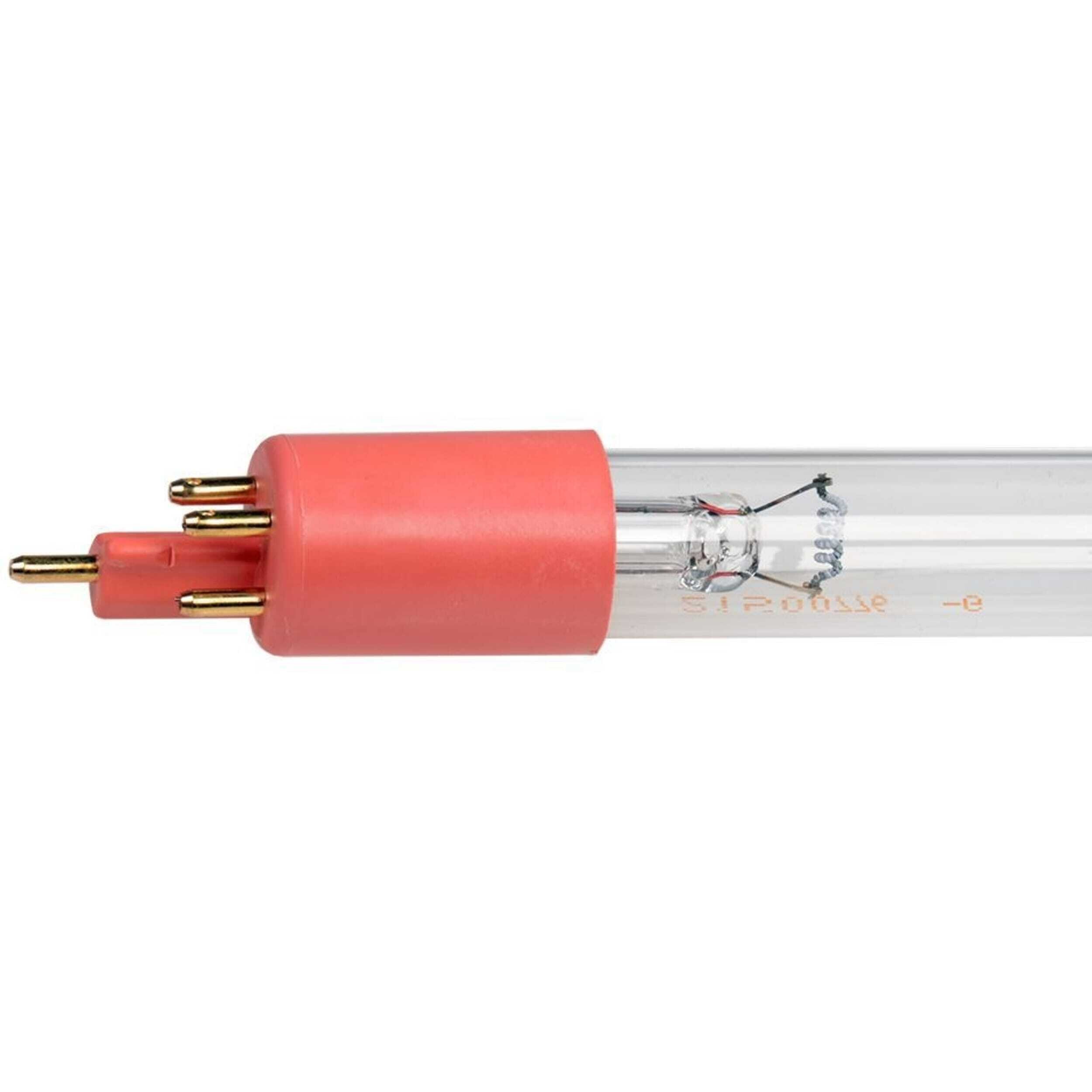 Elektronica