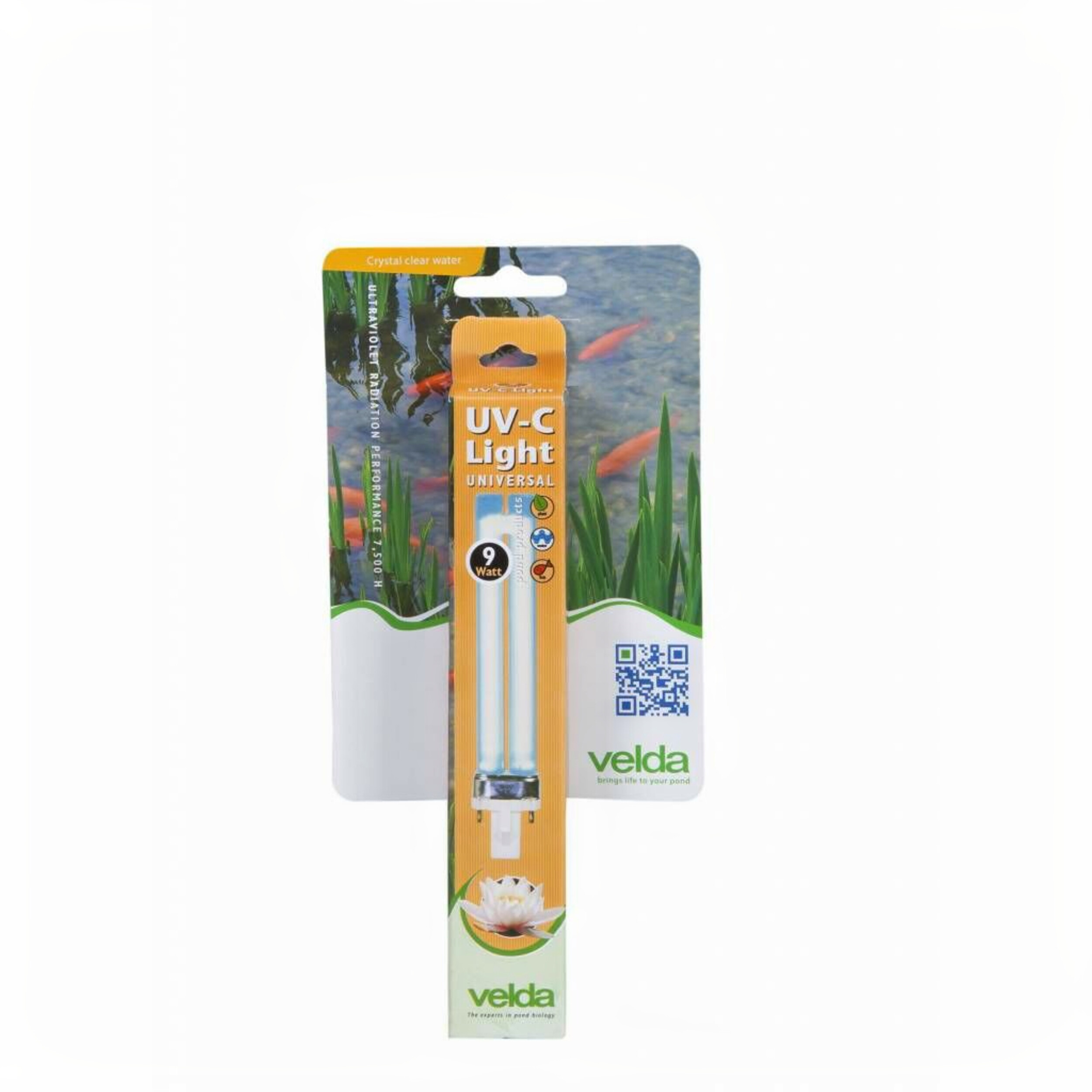 Brush, Device, Tool