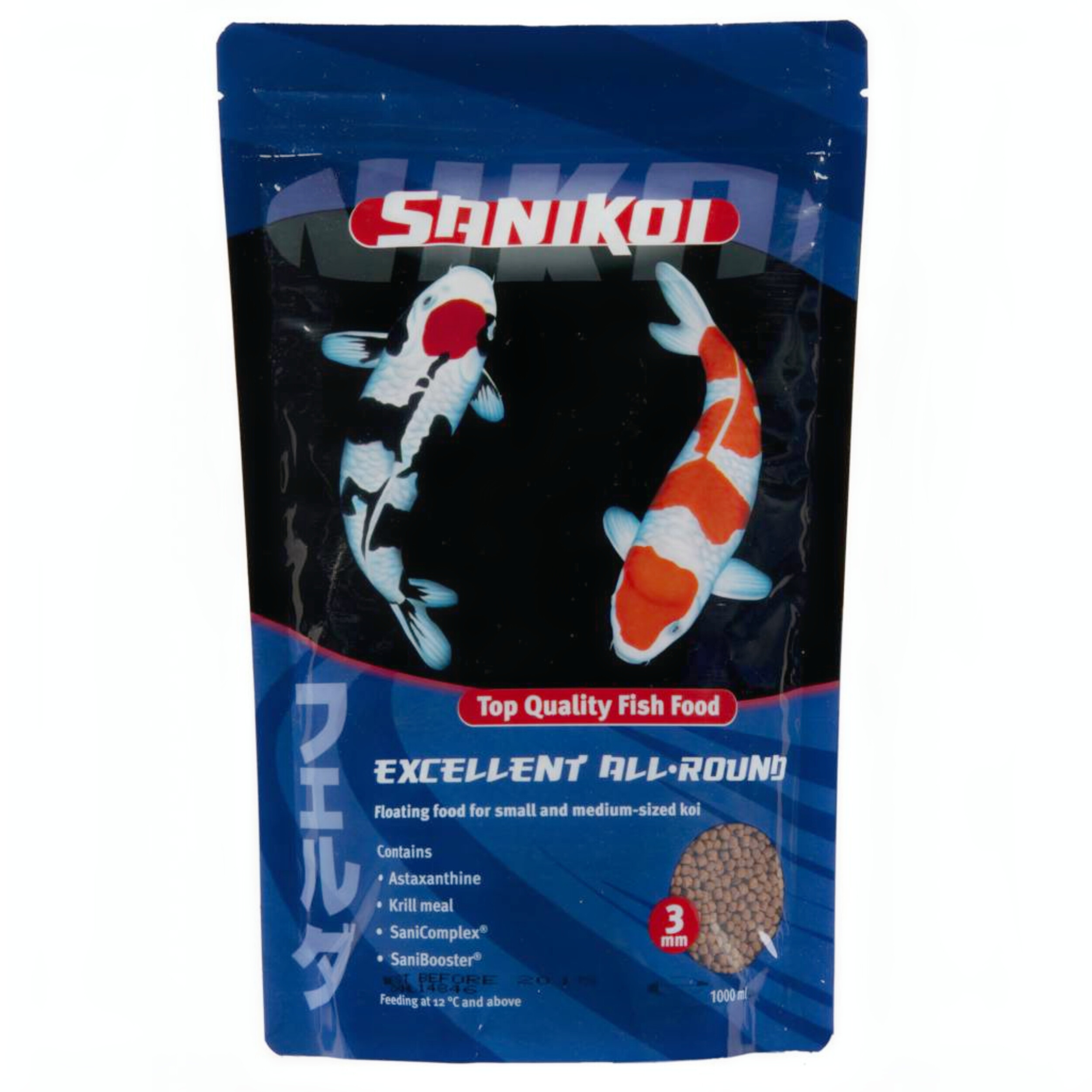 Animal, Carp, Fish, Sea Life, Koi
