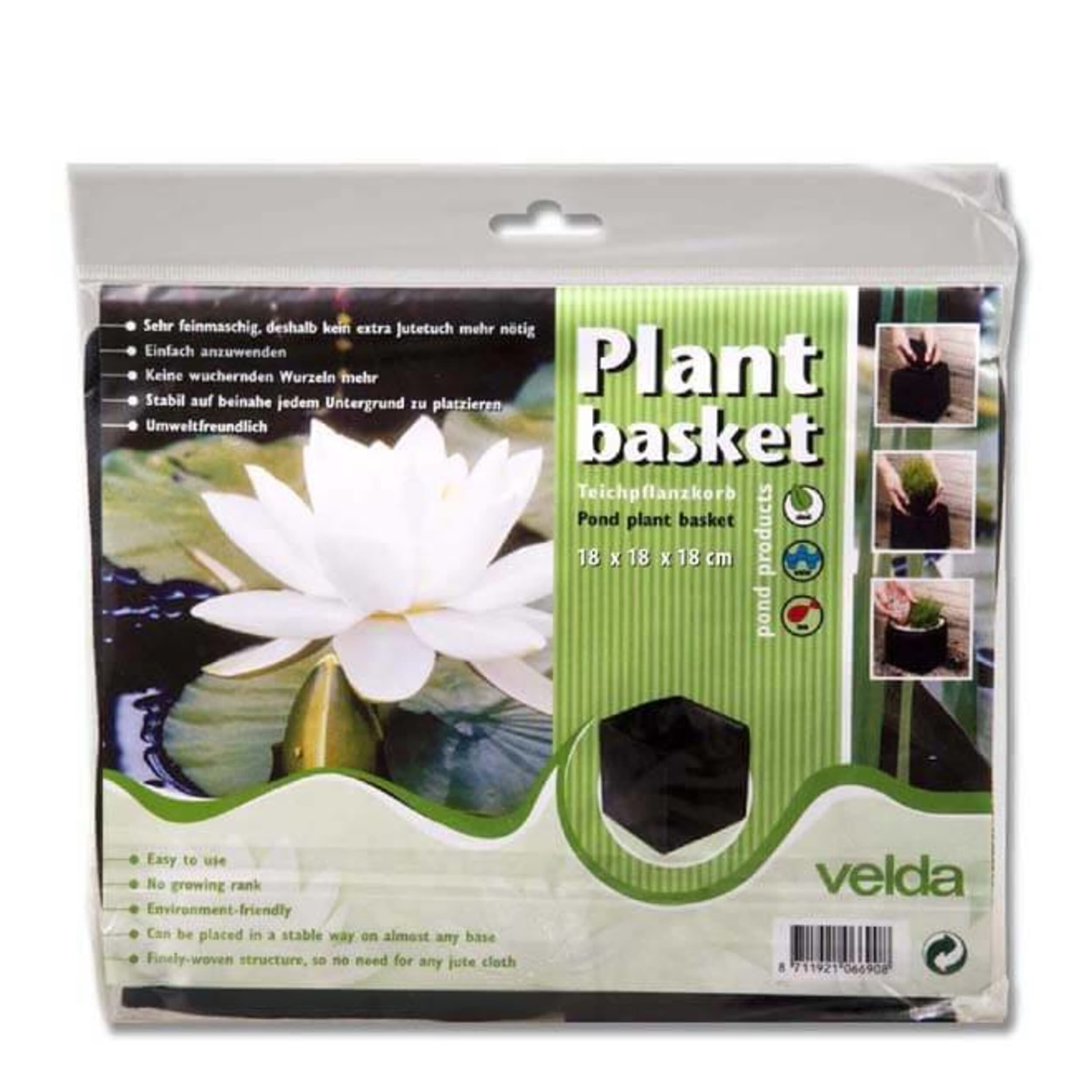 Bloem, Plant, Lelie, Vijverlelie