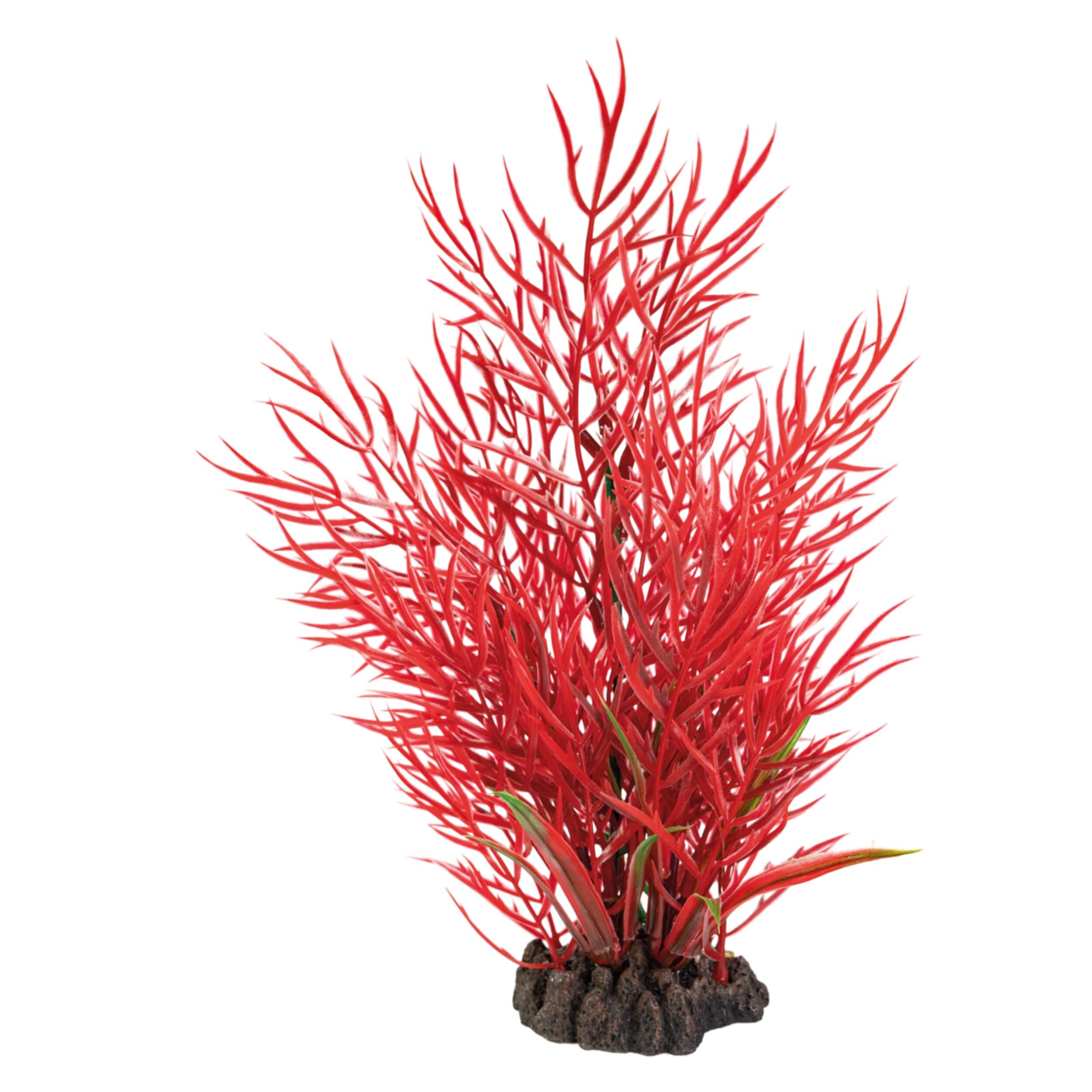 Art Plant 25cm Ludwigia