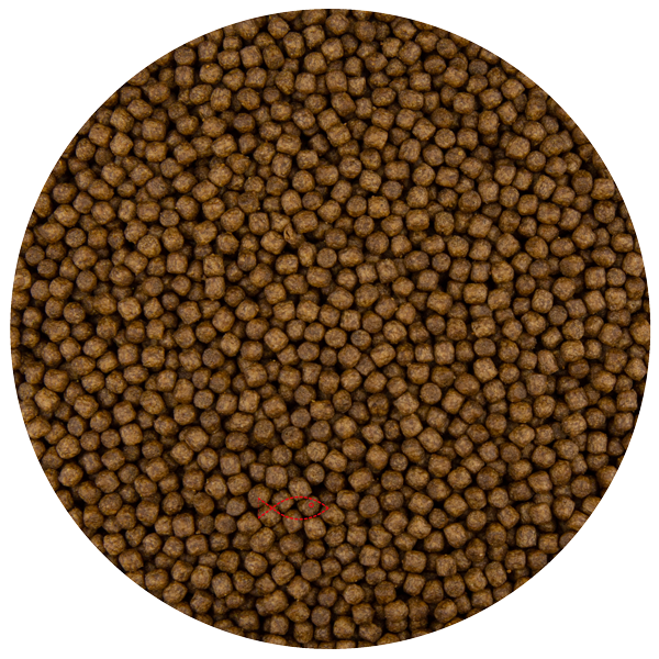 Pond Pro Pellet 3mm Koivoer - Vitaminerijk en Licht Verteerbaar - 5kg Verpakking afbeelding