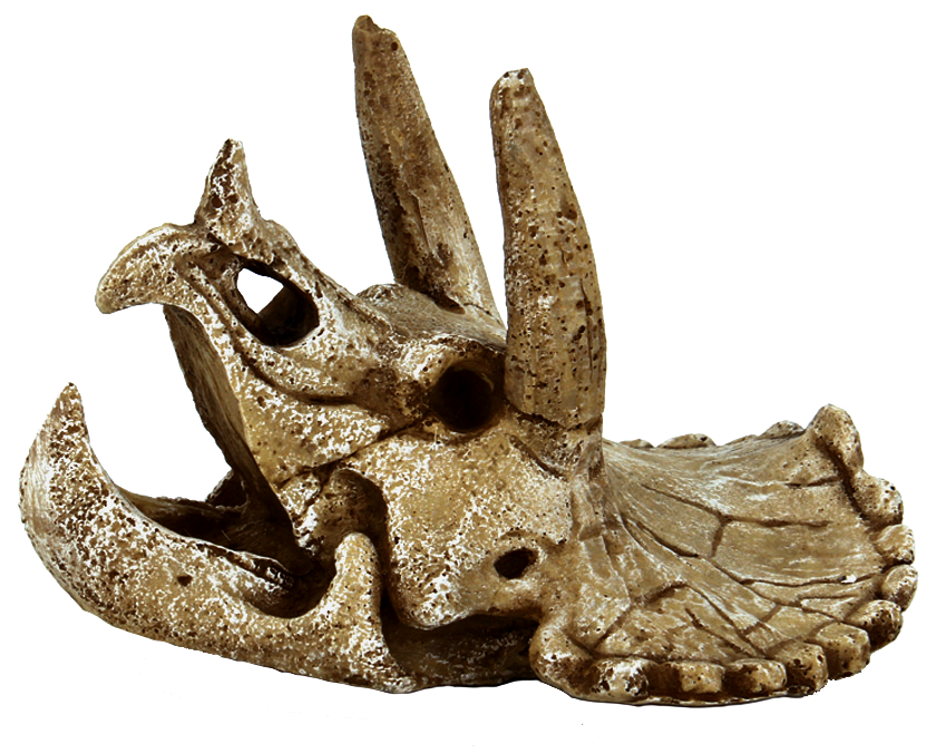 Superfish Skull Triceratops M - Prehistorische Decoratie en Veilige Schuilplaats voor Aquarium afbeelding