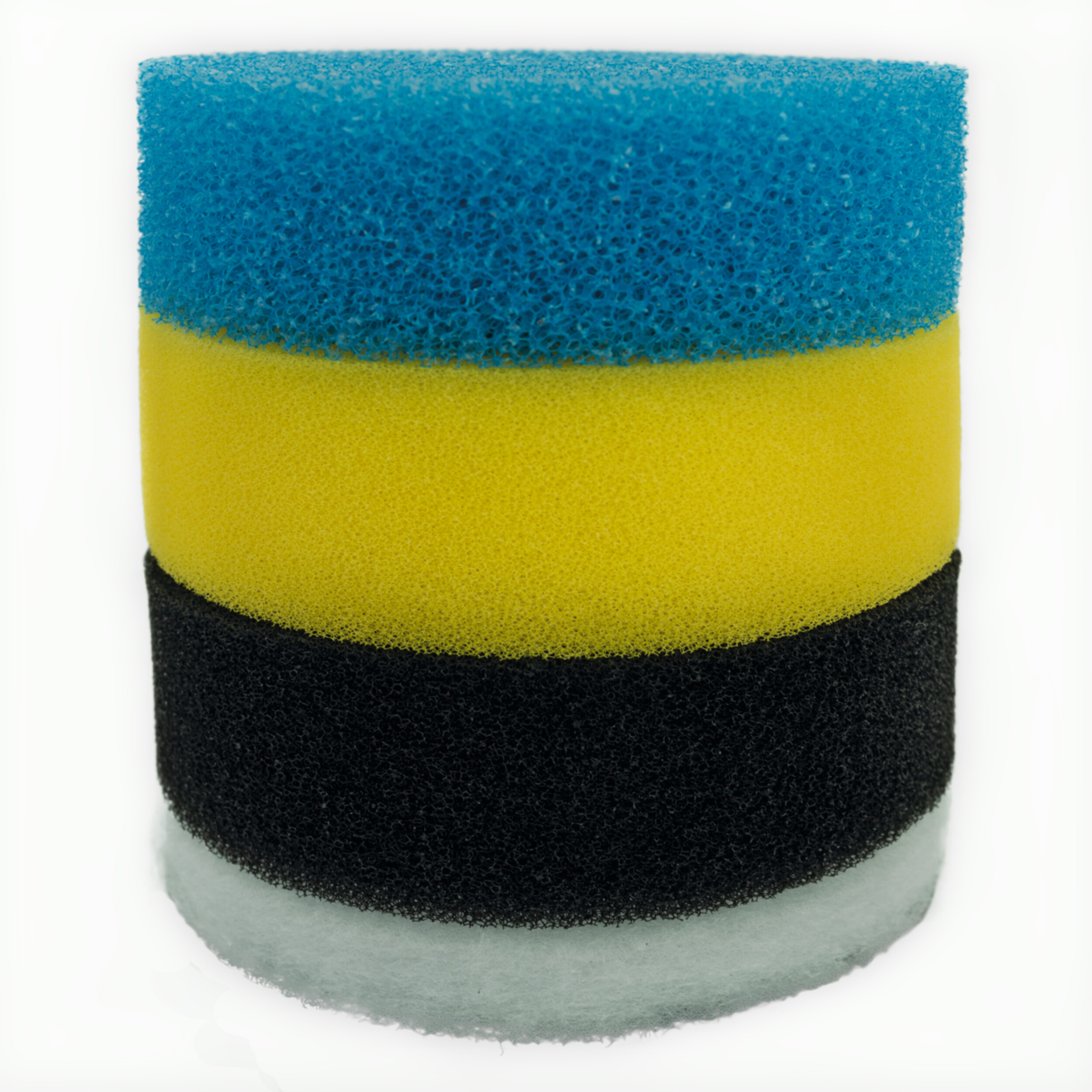 Sponge