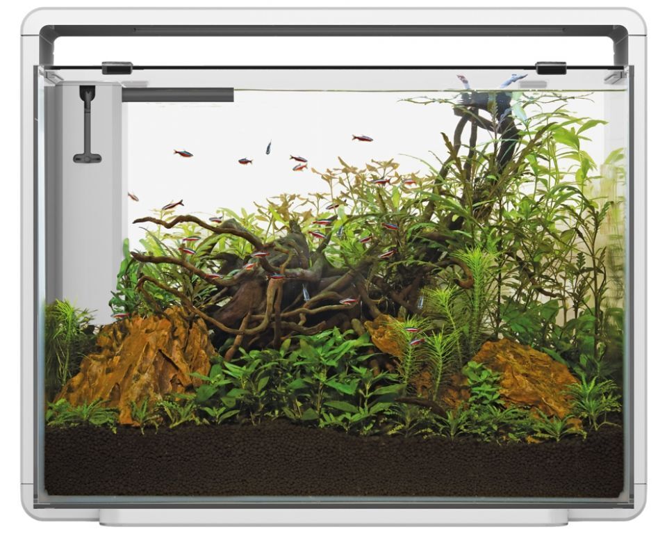 Superfish Home 85 Aquarium Wit - 80L LED Verlichting, Geruisloze Filter & Modern Design afbeelding