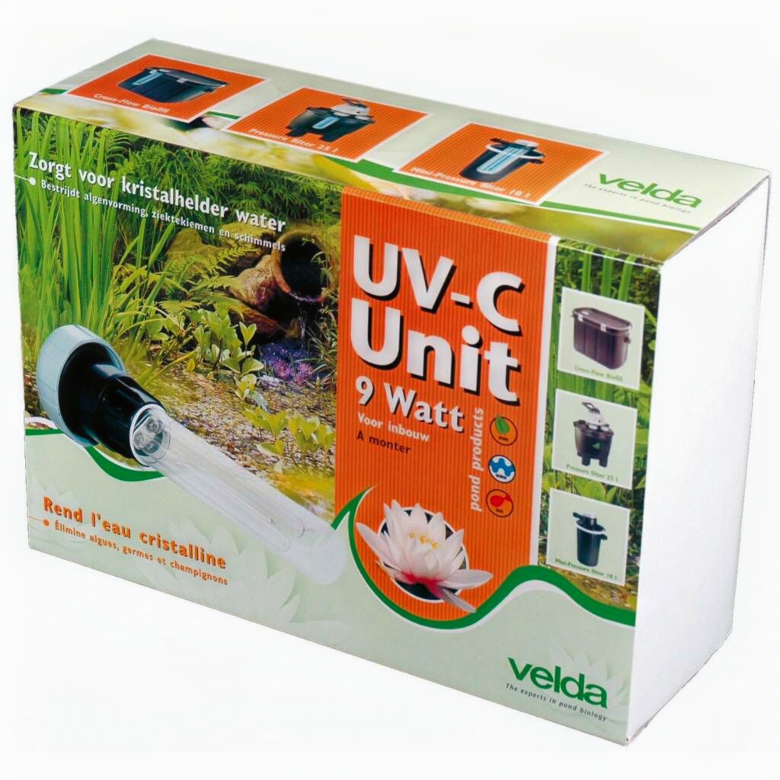 Herbal, Herbs, Plant, Box
