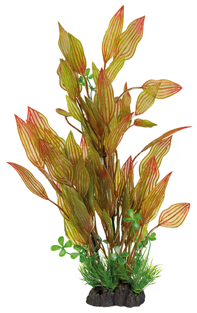 Art Plant 40cm Henkelianus