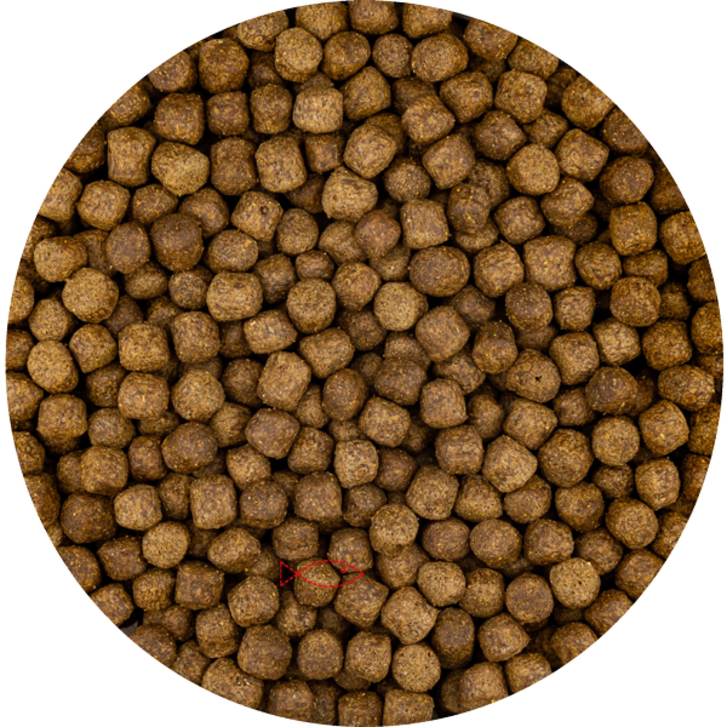 Croissance supérieure 6 mm (15 kilos de sac)