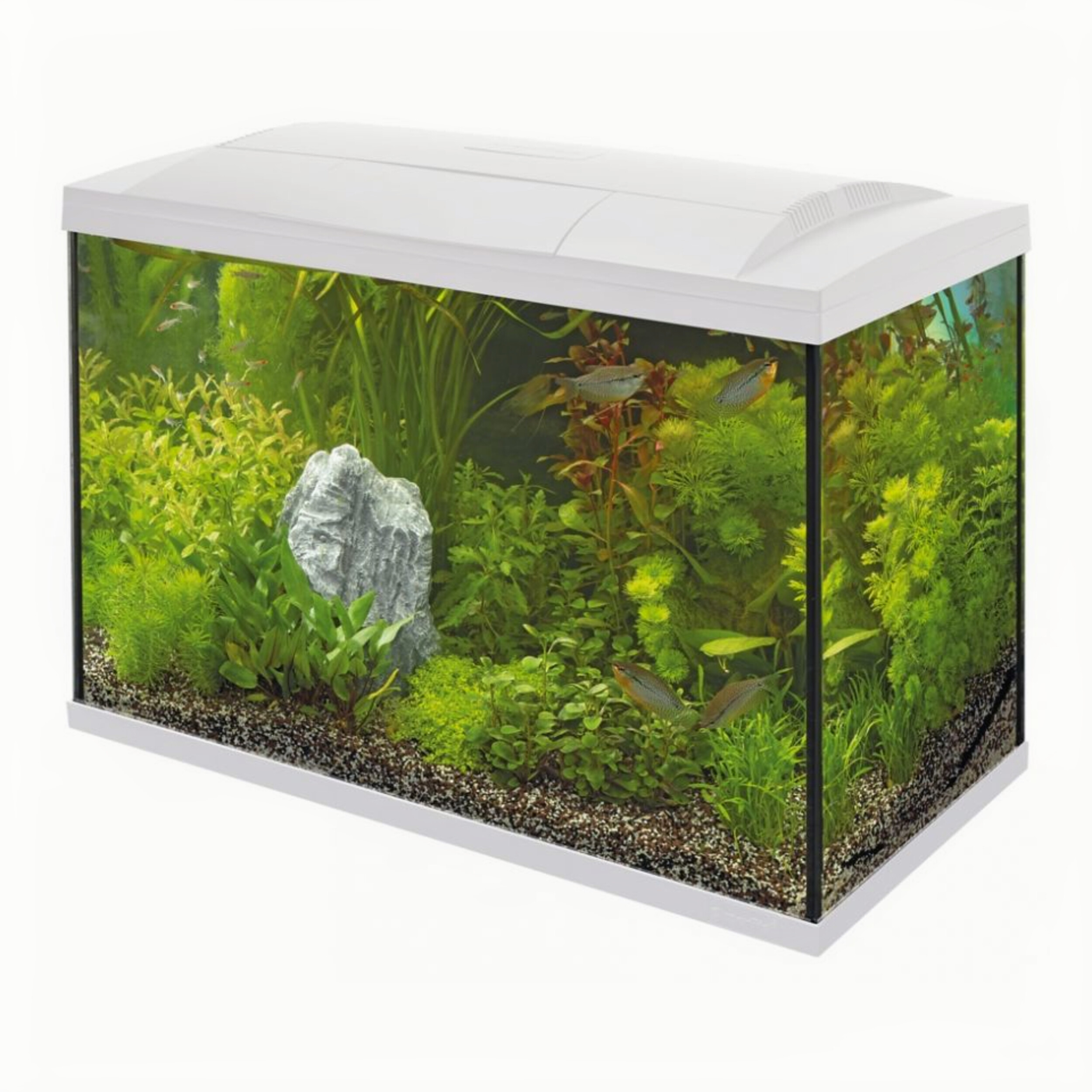 Superfish Start 150 Tropical Kit Wit - 146L Compleet Aquarium Set met LED en Heater