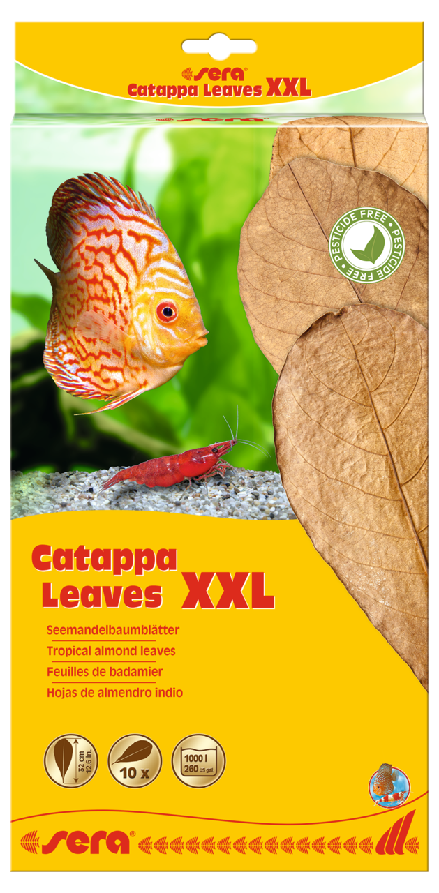 Sera Catappa Leaves XXL 30-35cm - Waterzuiverende Bladeren voor Aquarium, 10-Pack afbeelding