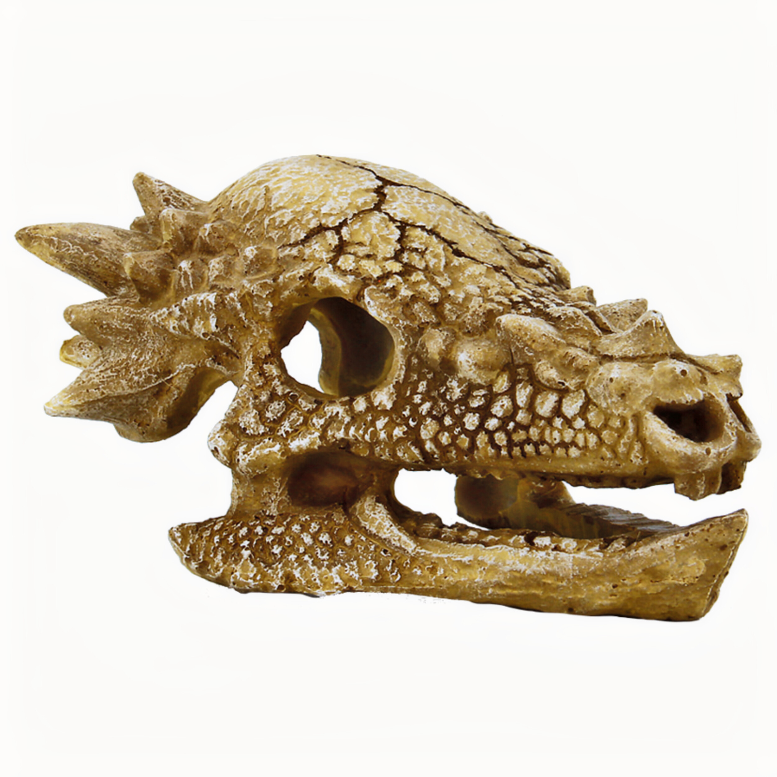 Superfish Skull T Rex M | Prehistorische Dino Schedel als Aquarium Decor & Schuilplaats