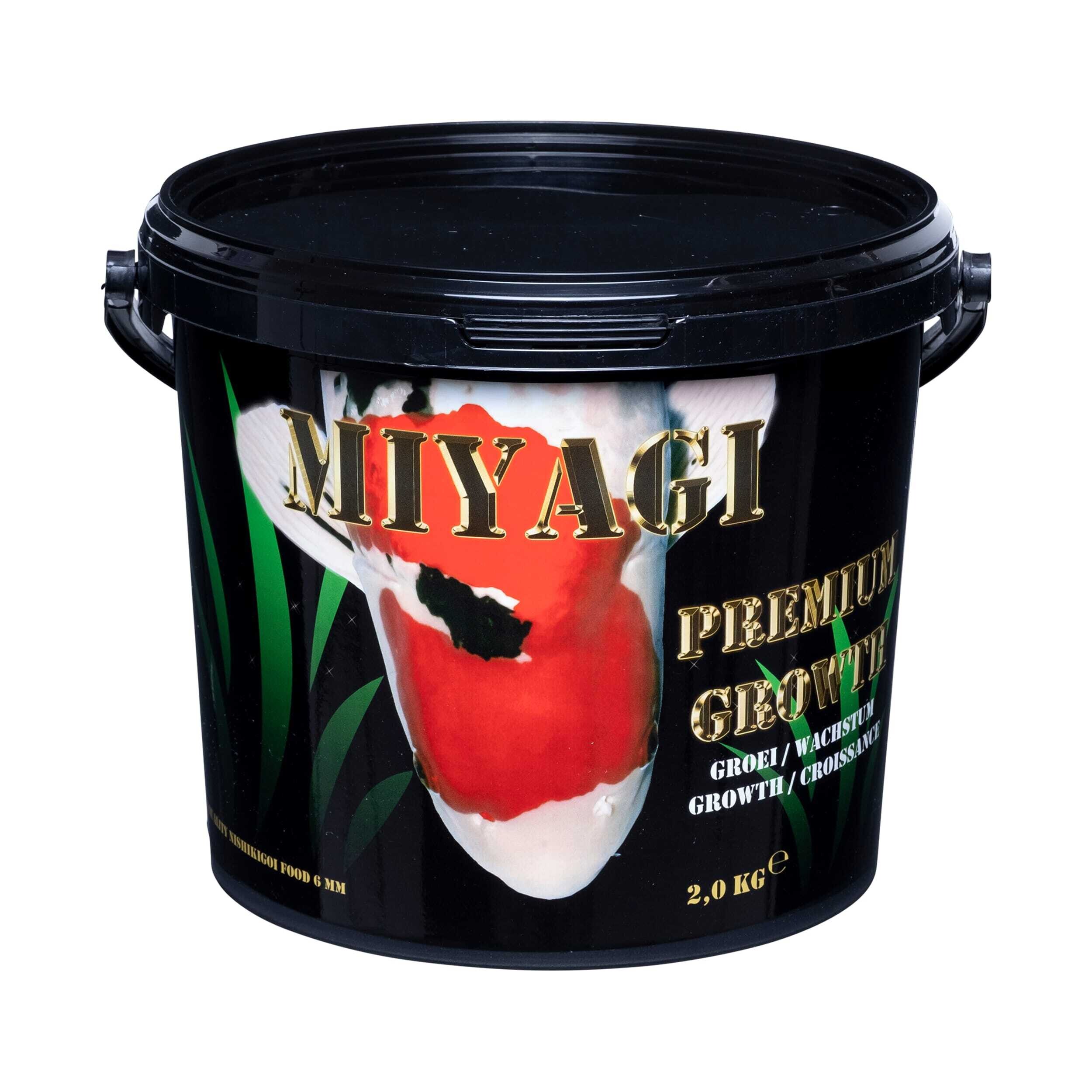 Paint Container
