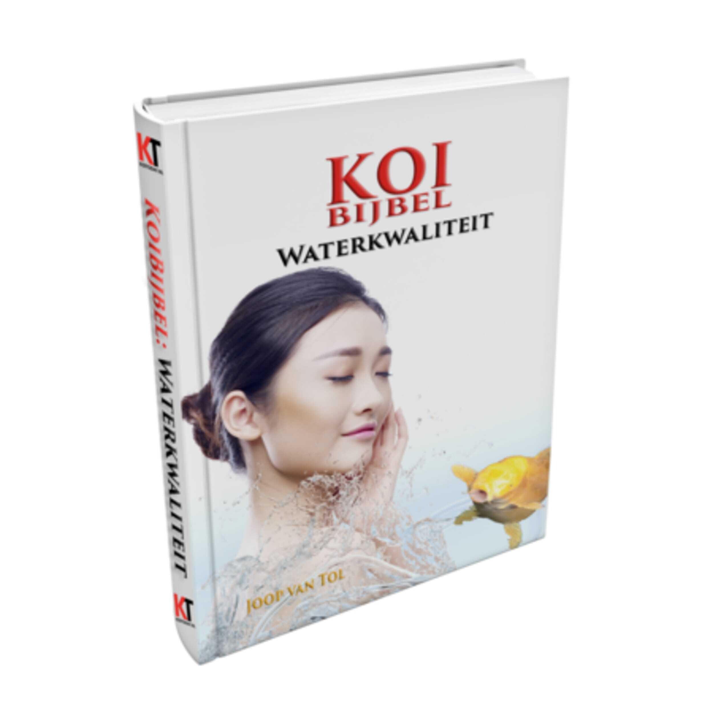 Boek, Publicatie, Volwassene, Persoon, Vrouw