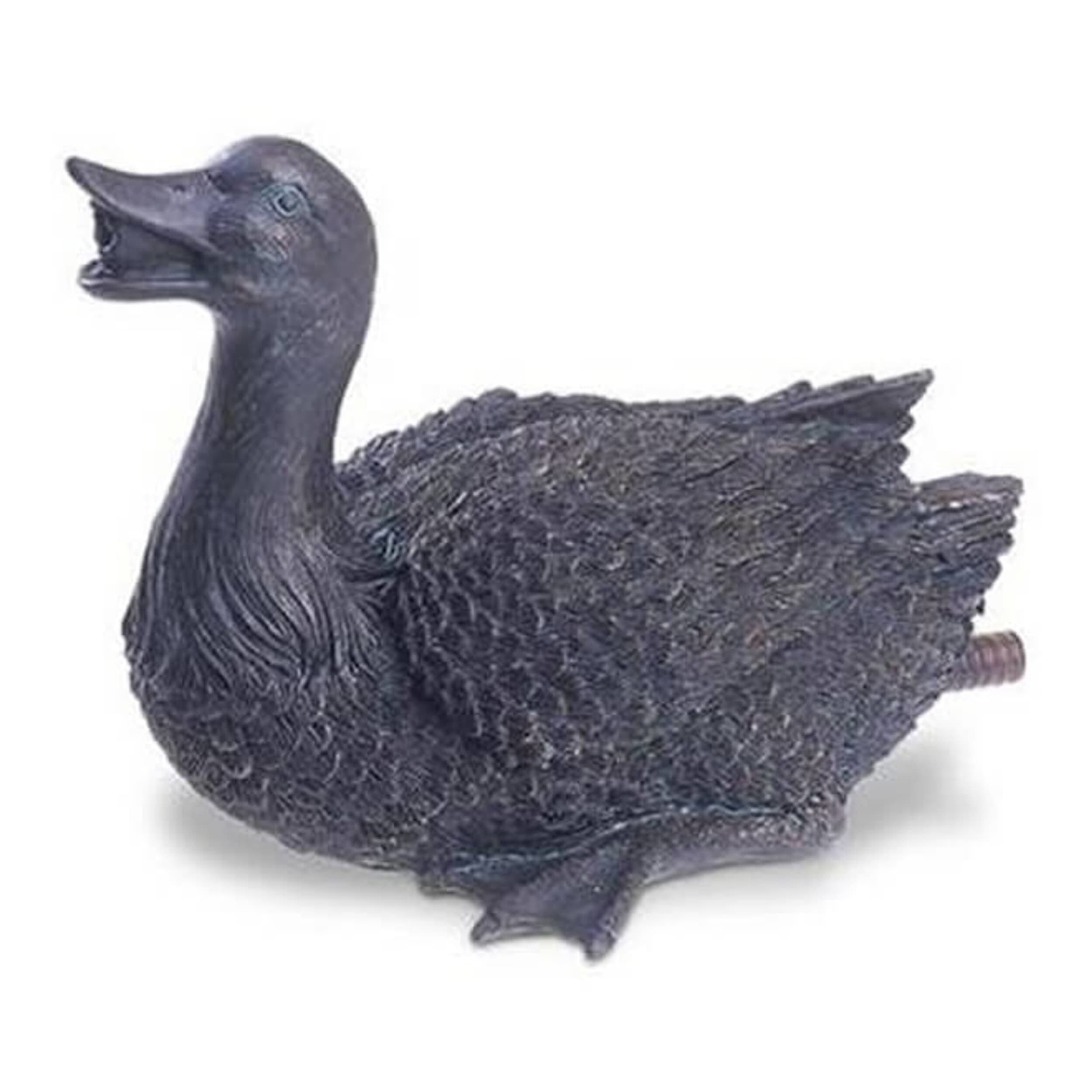 Animal, Bird, Beak