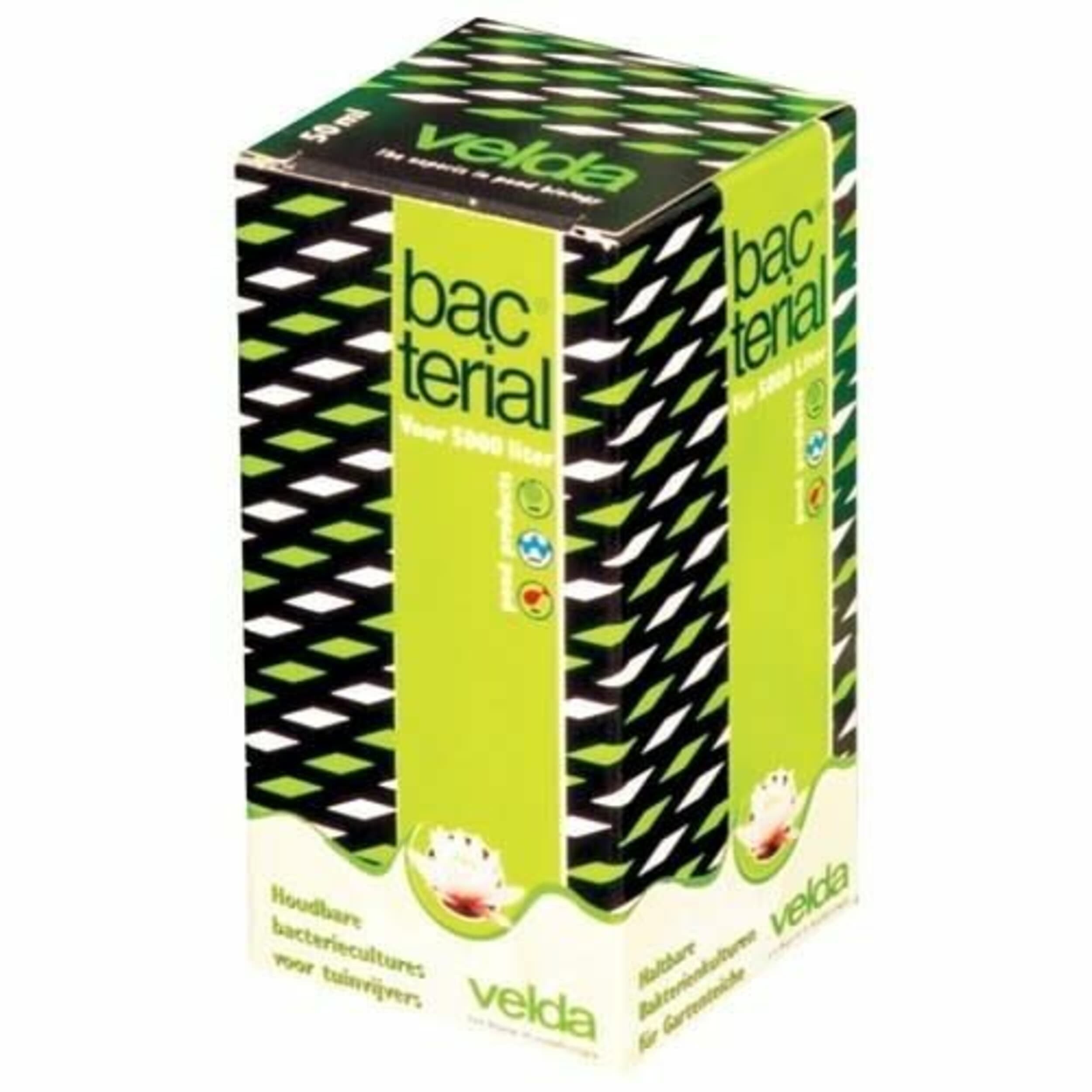 Herbal, Herbs, Plant, Gum