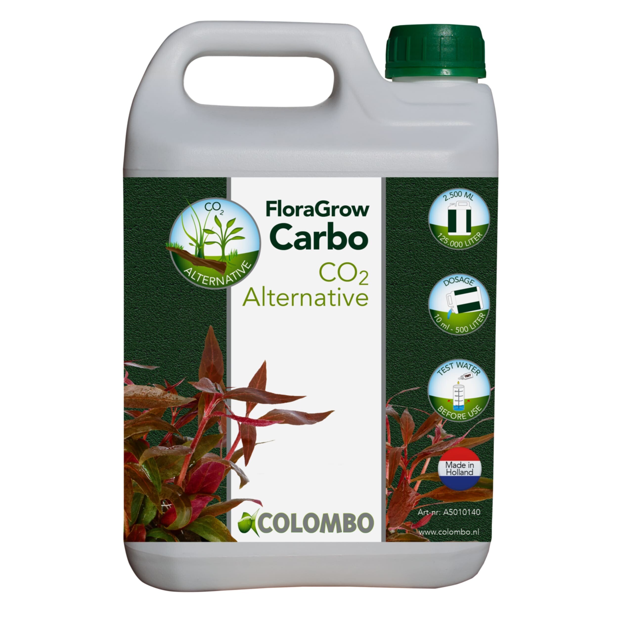Herbal, Herbs, Plant, Potted Plant