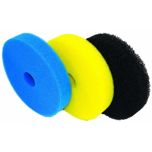 Sponge