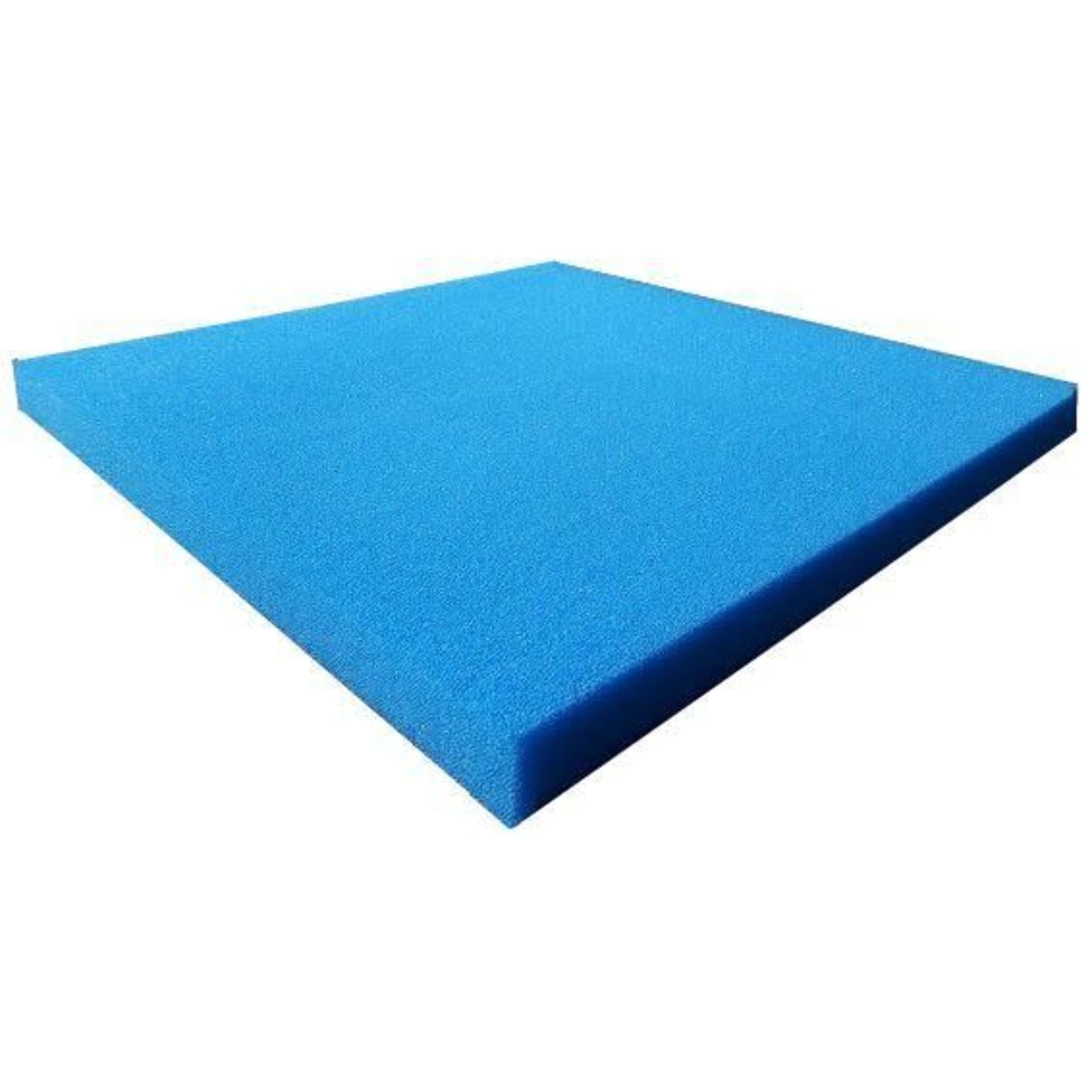 Foam