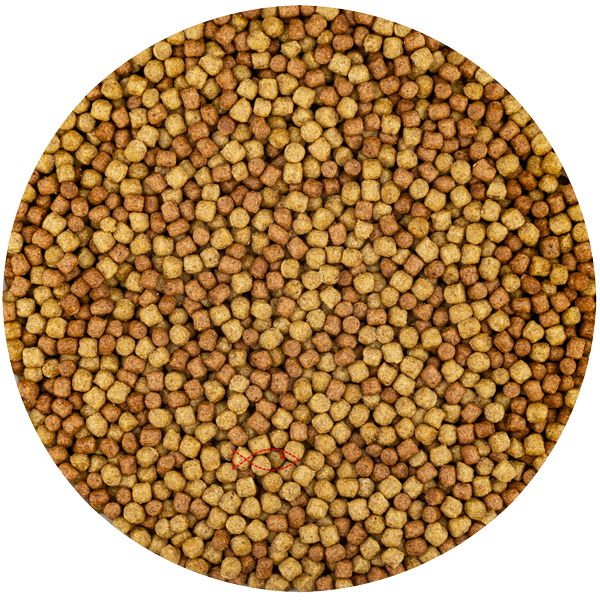Food, Mustard