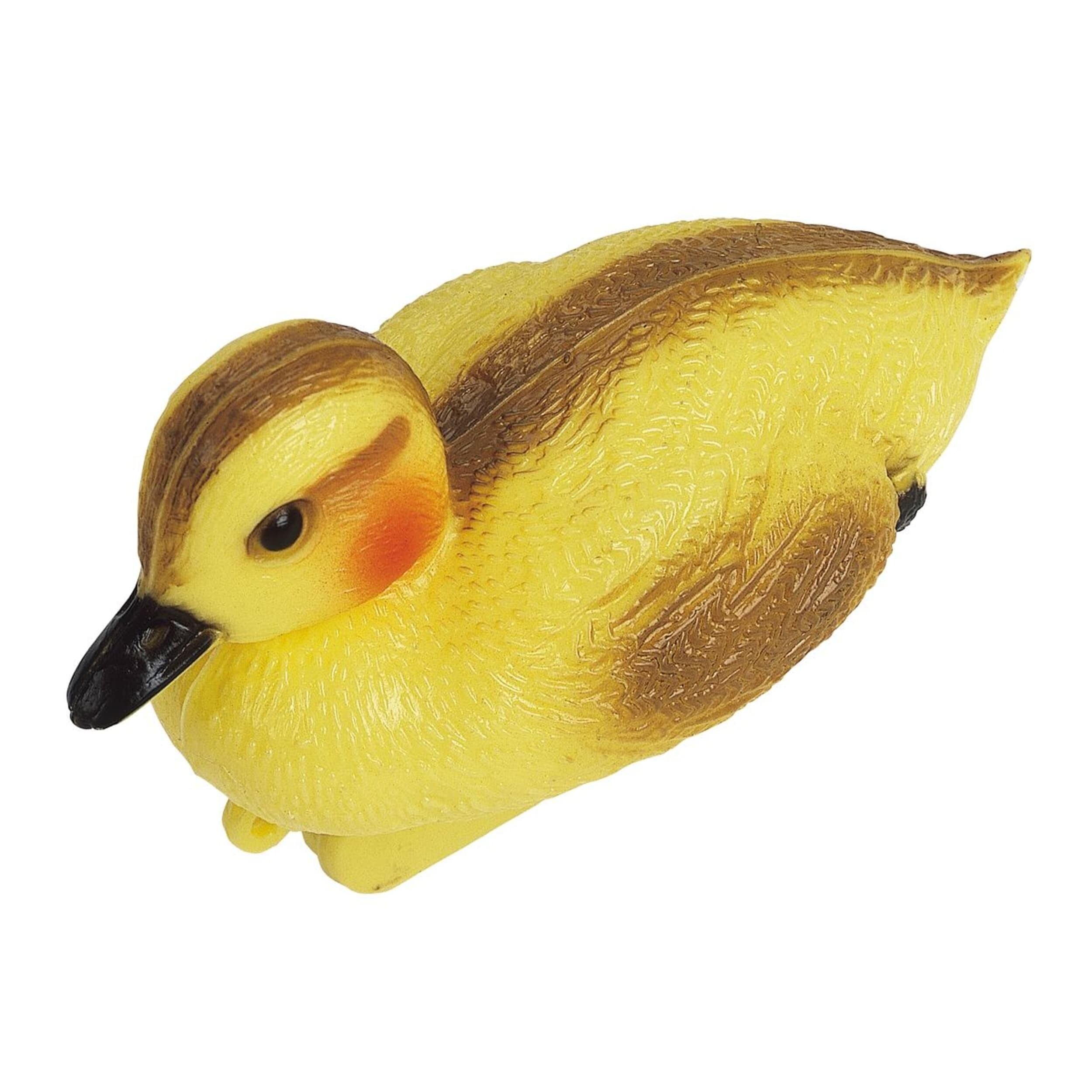 Animal, Beak, Bird