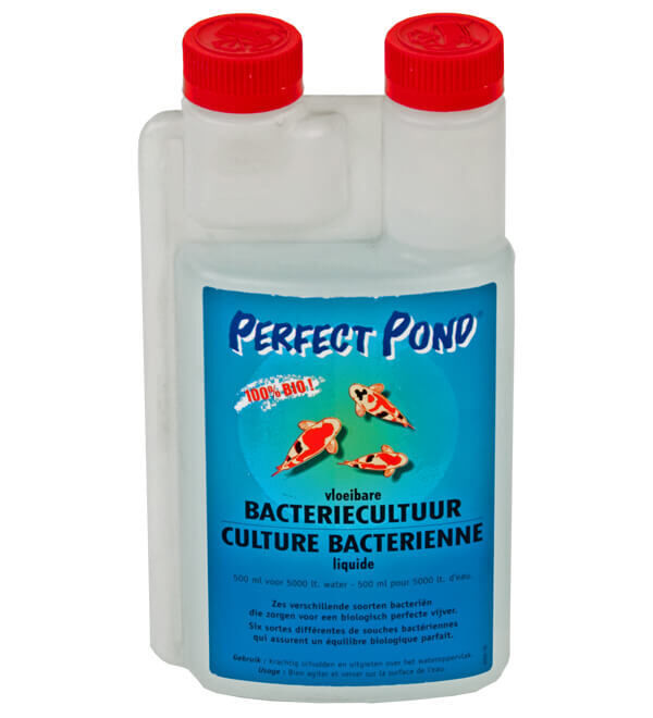 Perfect Pond Vloeibare Bacteriën 250 ml - Gezonde Heldere Vijverwater Balans & Onderhoud afbeelding