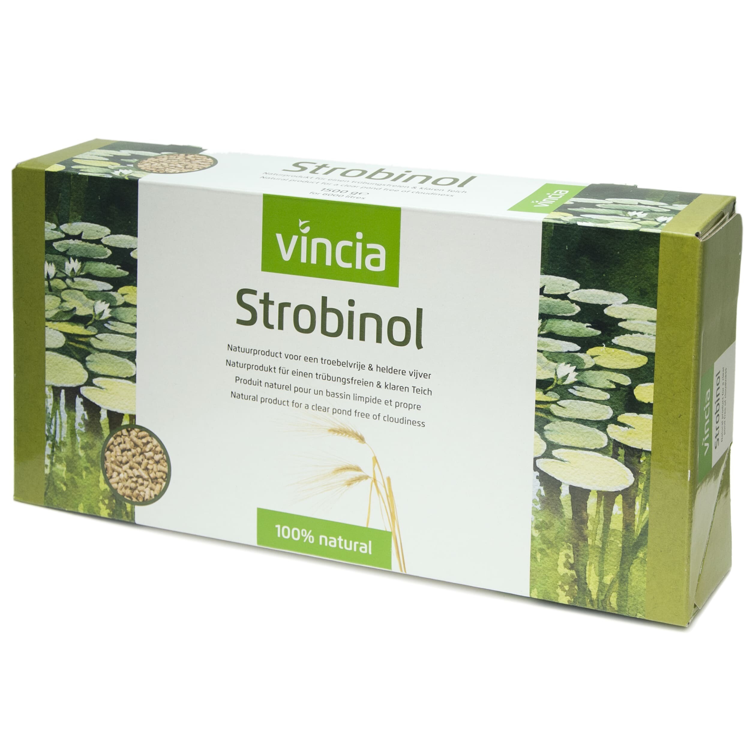 Herbal, Herbs, Plant, Flower, Box