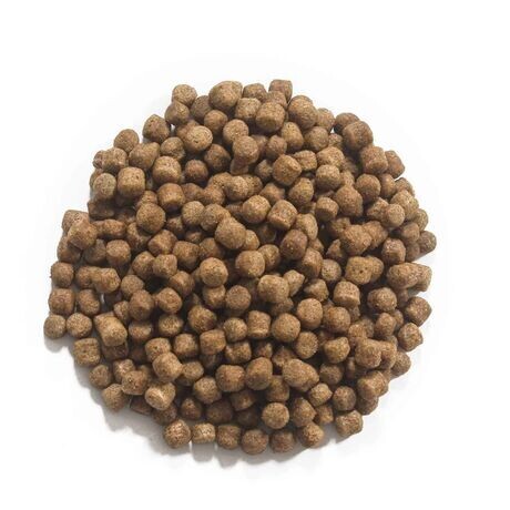 Koi food Orange 6 mm 15 kg Koi food Orange 6 mm 15 kg