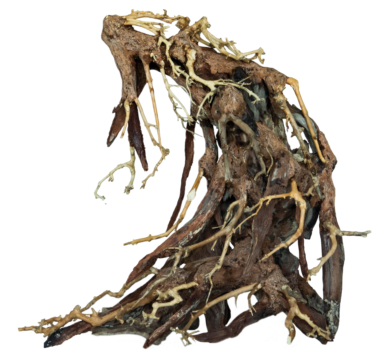 Superfish Bonsai Root Large - Handgemodelleerd Hout voor Aquarium - Natuurlijke Decoratie afbeelding