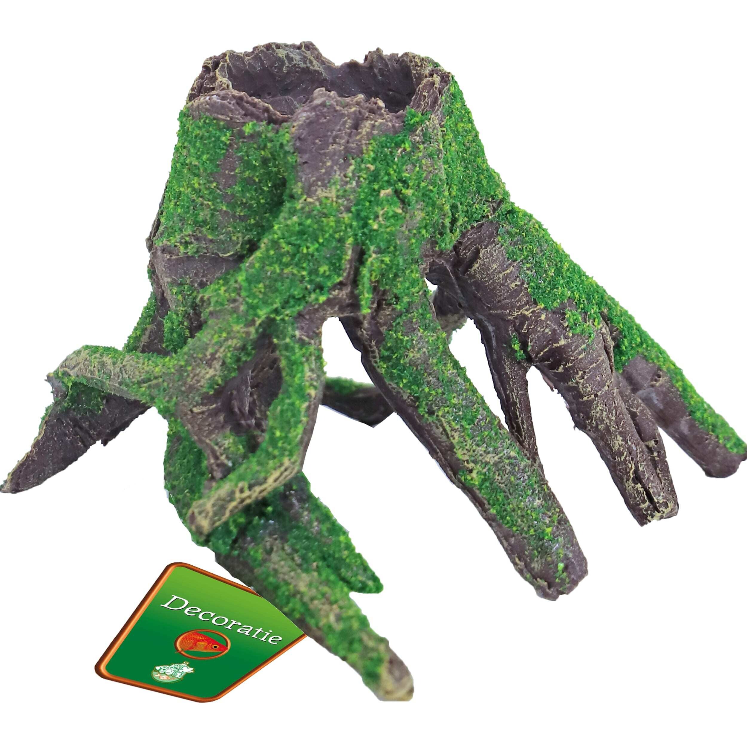 Boon Mangrove & Mos Ornament 15x13x11 cm - Natuurlijke Aquarium Schuilplaats