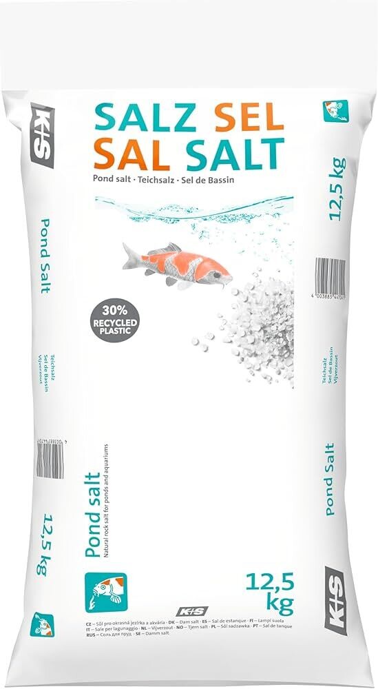 Animal, Fish, Sea Life, Powder
