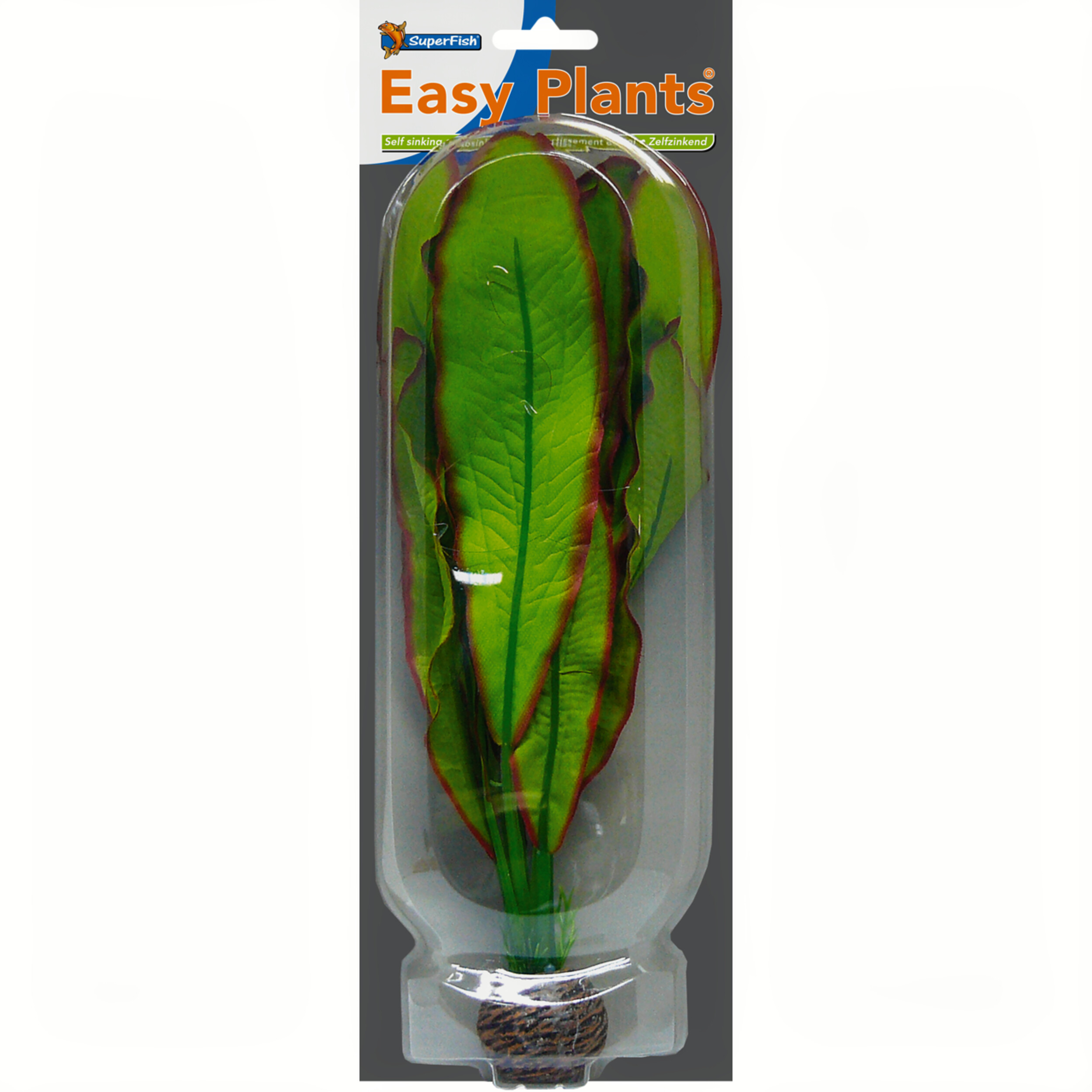 Leaf, Plant