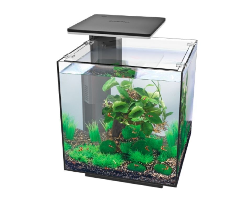 Superfish Qubiq 30 Pro Zwart - Modern 30L Aquarium met Dimbare LED 32x32x32 cm afbeelding