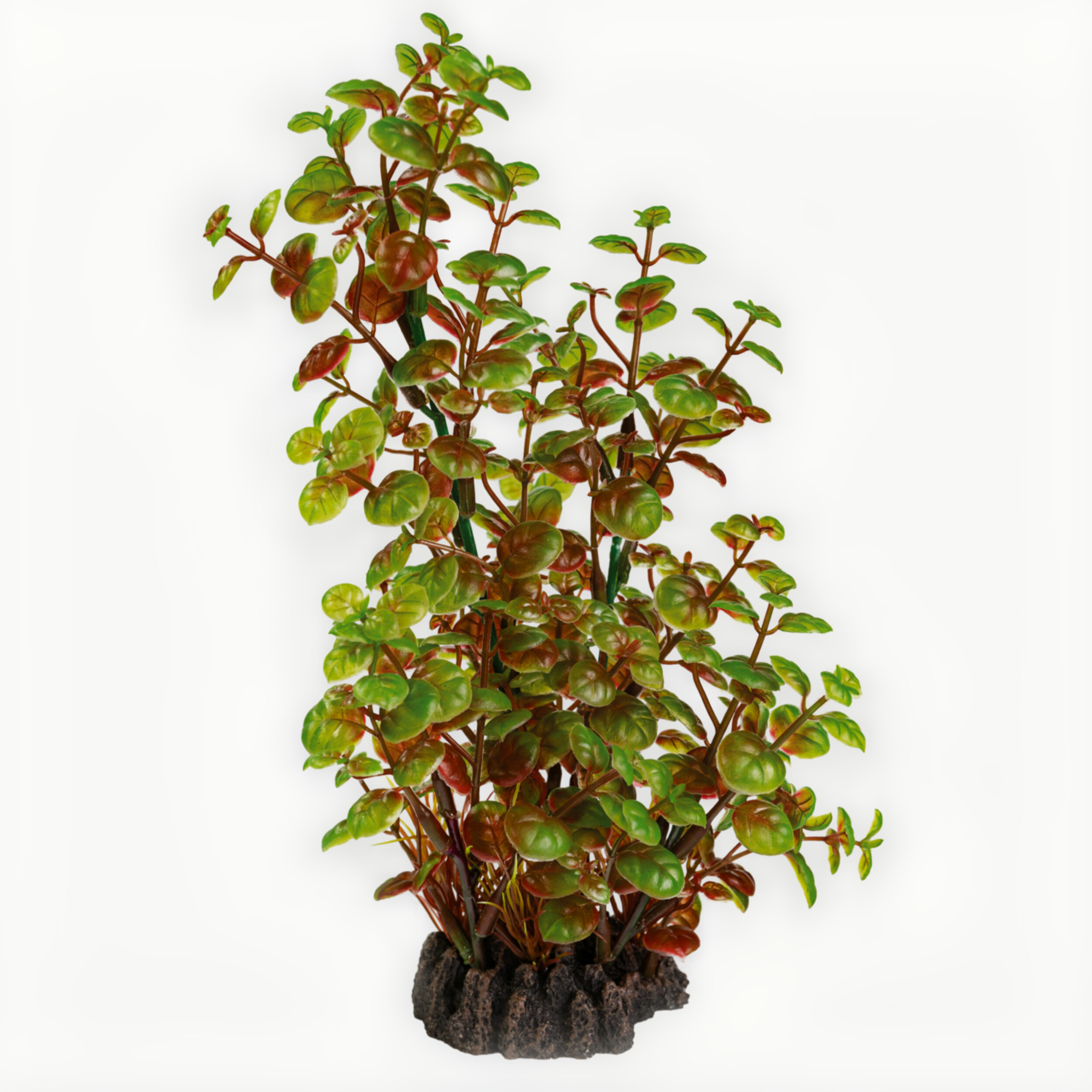 Superfish Art Plant Rotala 25cm - Onderhoudsvrije Aquarium Kunstplant, Veilig & Realistisch