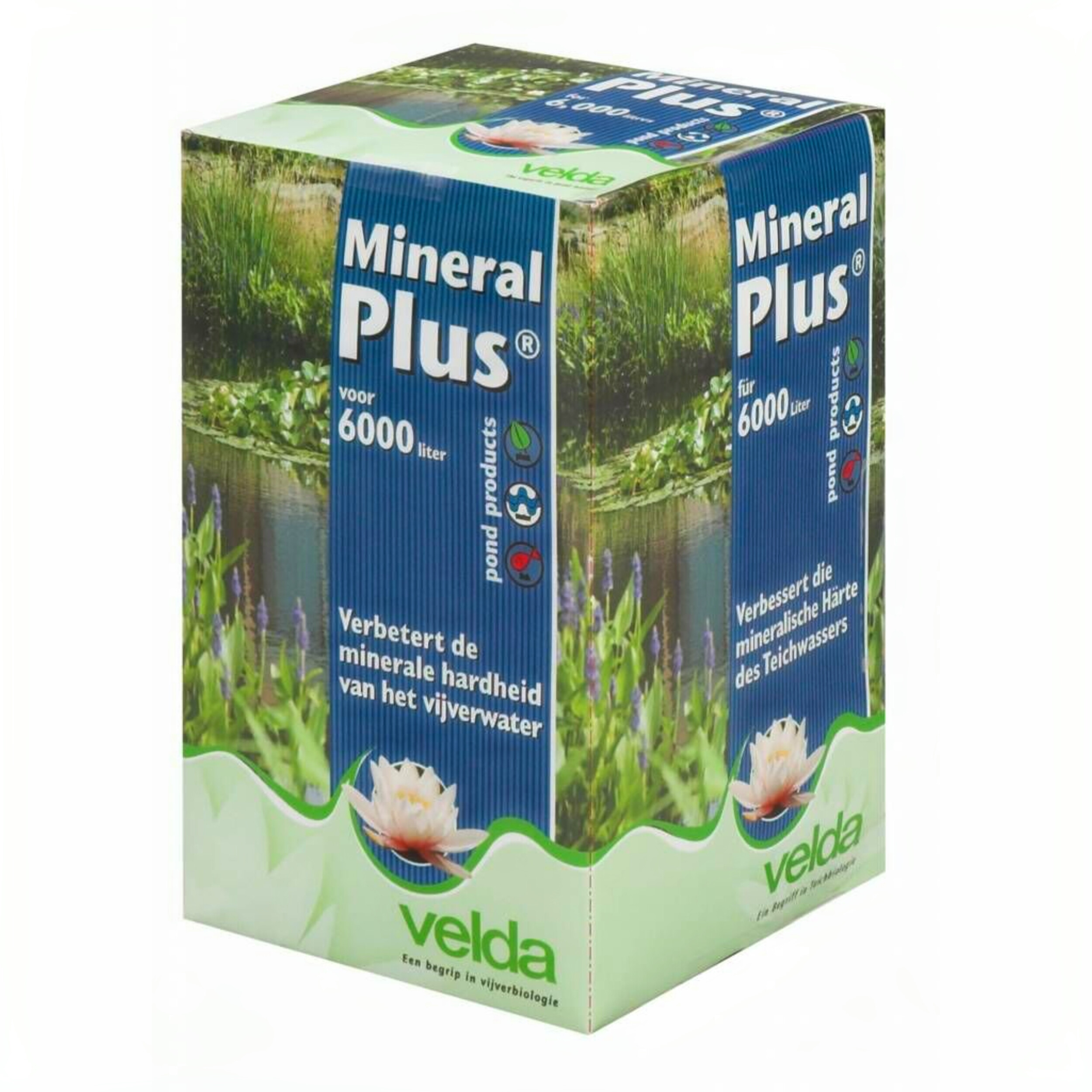 Herbal, Herbs, Plant, Box