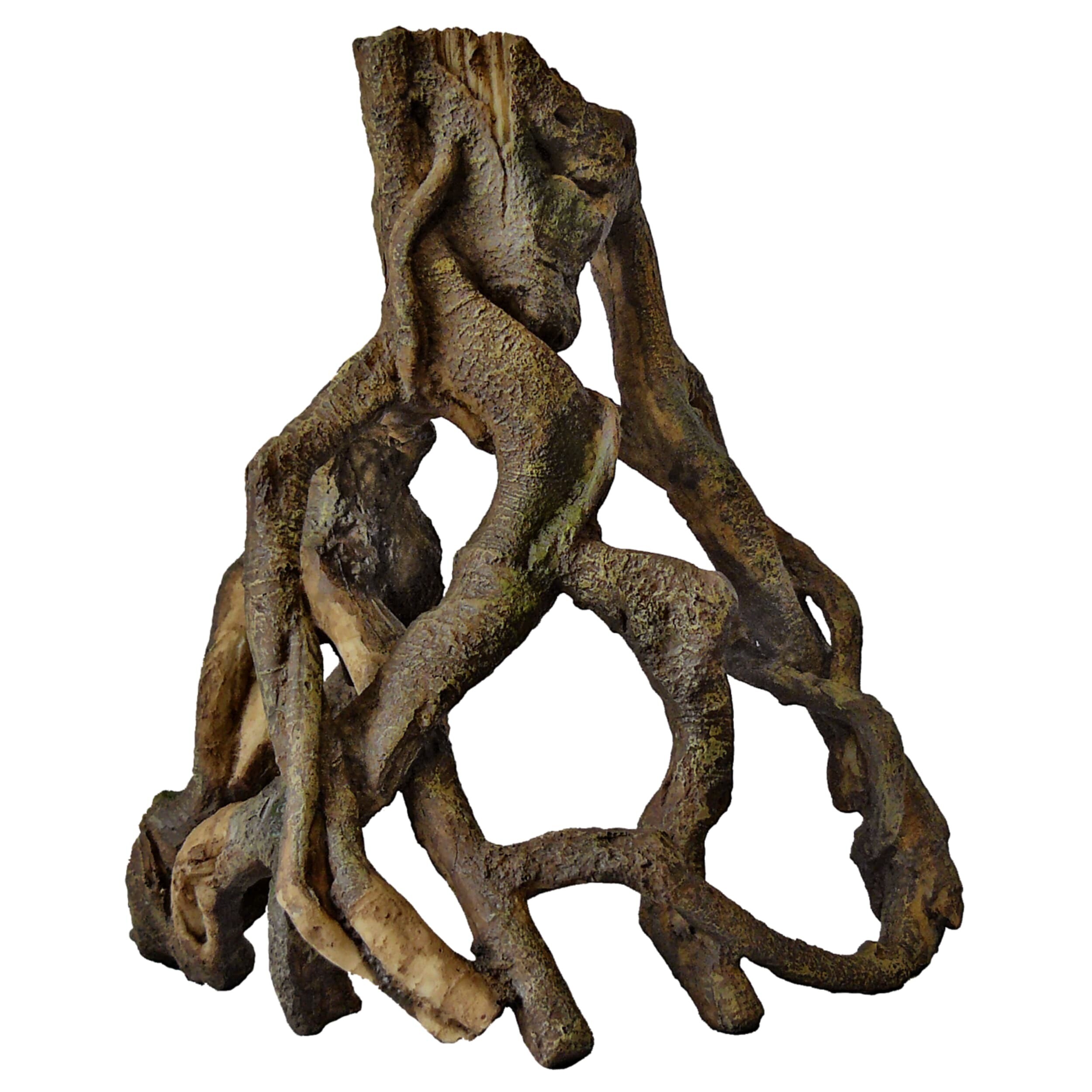 Mangrove Wortel L