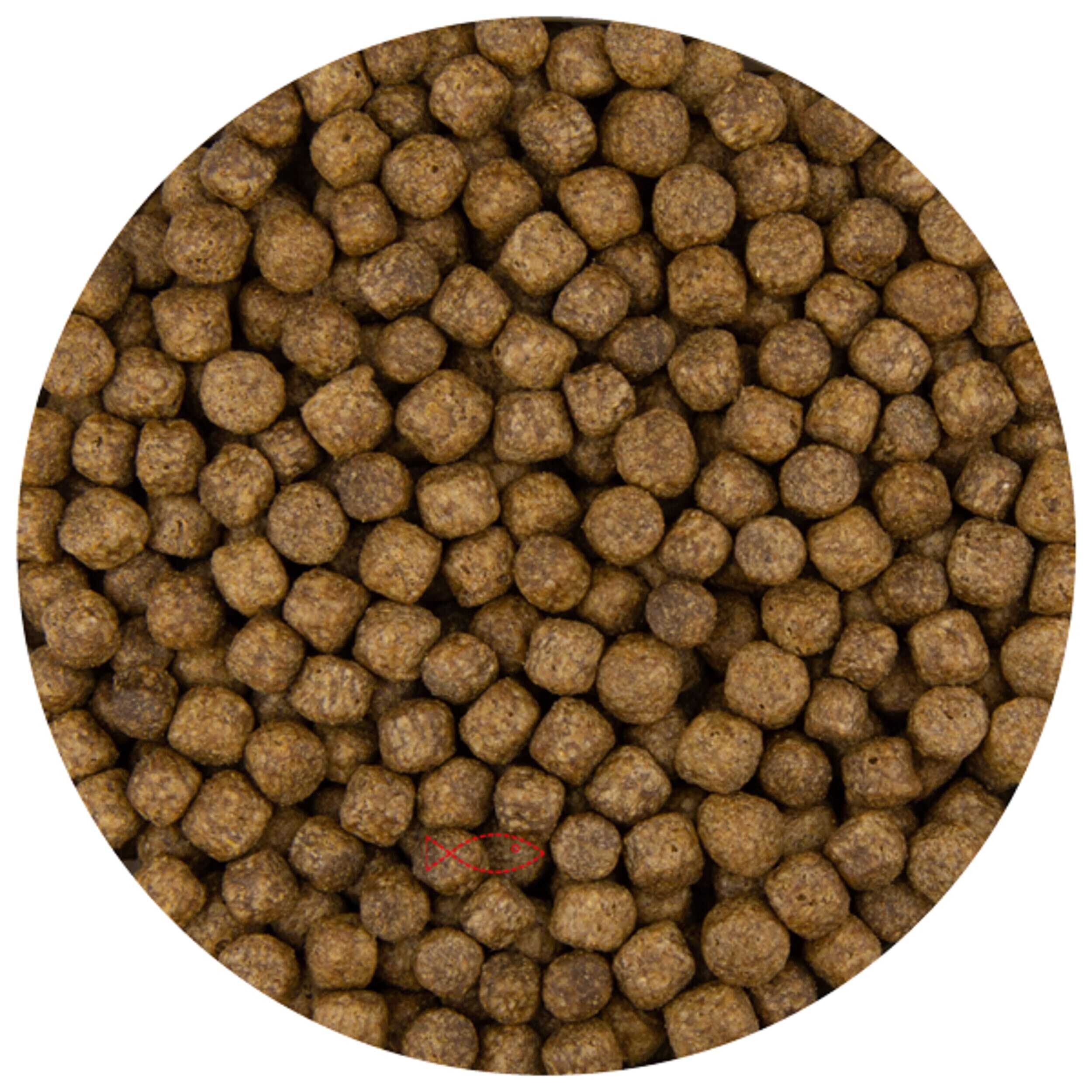 Pfund Pellet 6 mm - 10 Kilo Food