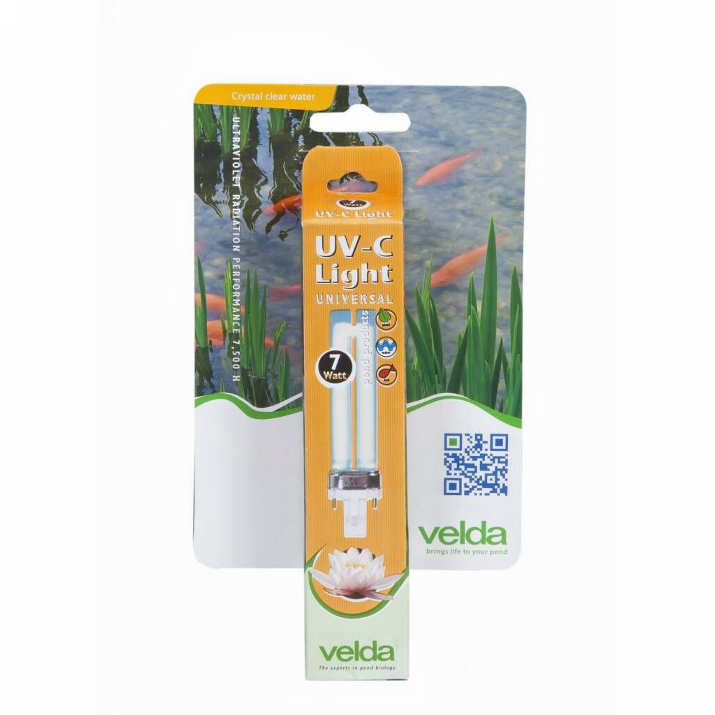 Brush, Device, Tool